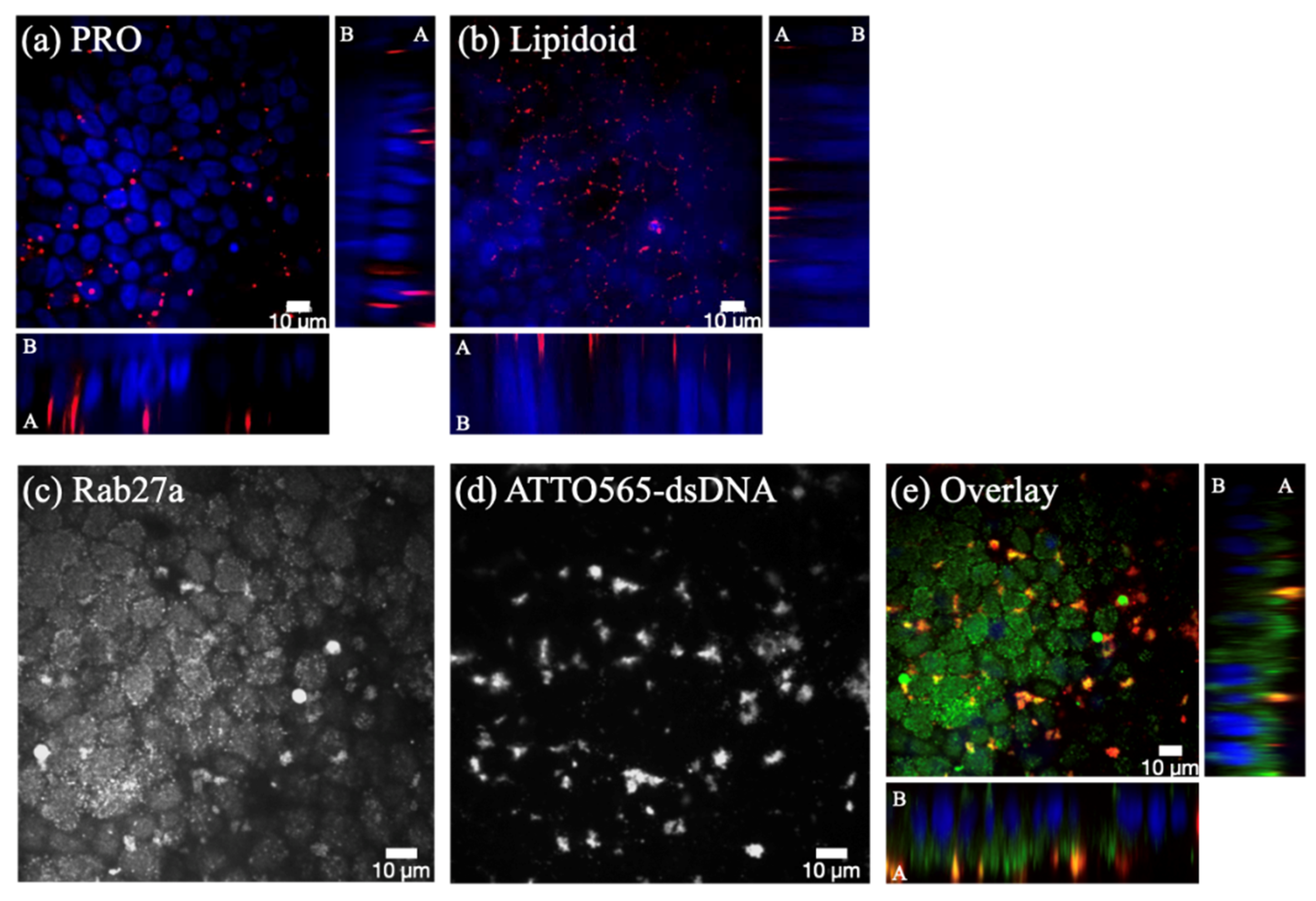 Pharmaceutics 12 00667 g009 Pharmaceutics 12 00667 g009