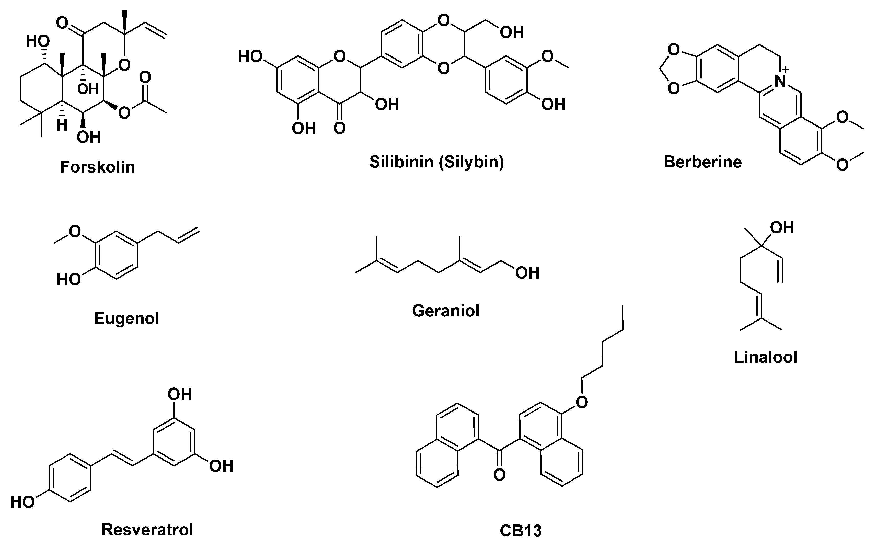 Pharmaceutics 12 00669 g006