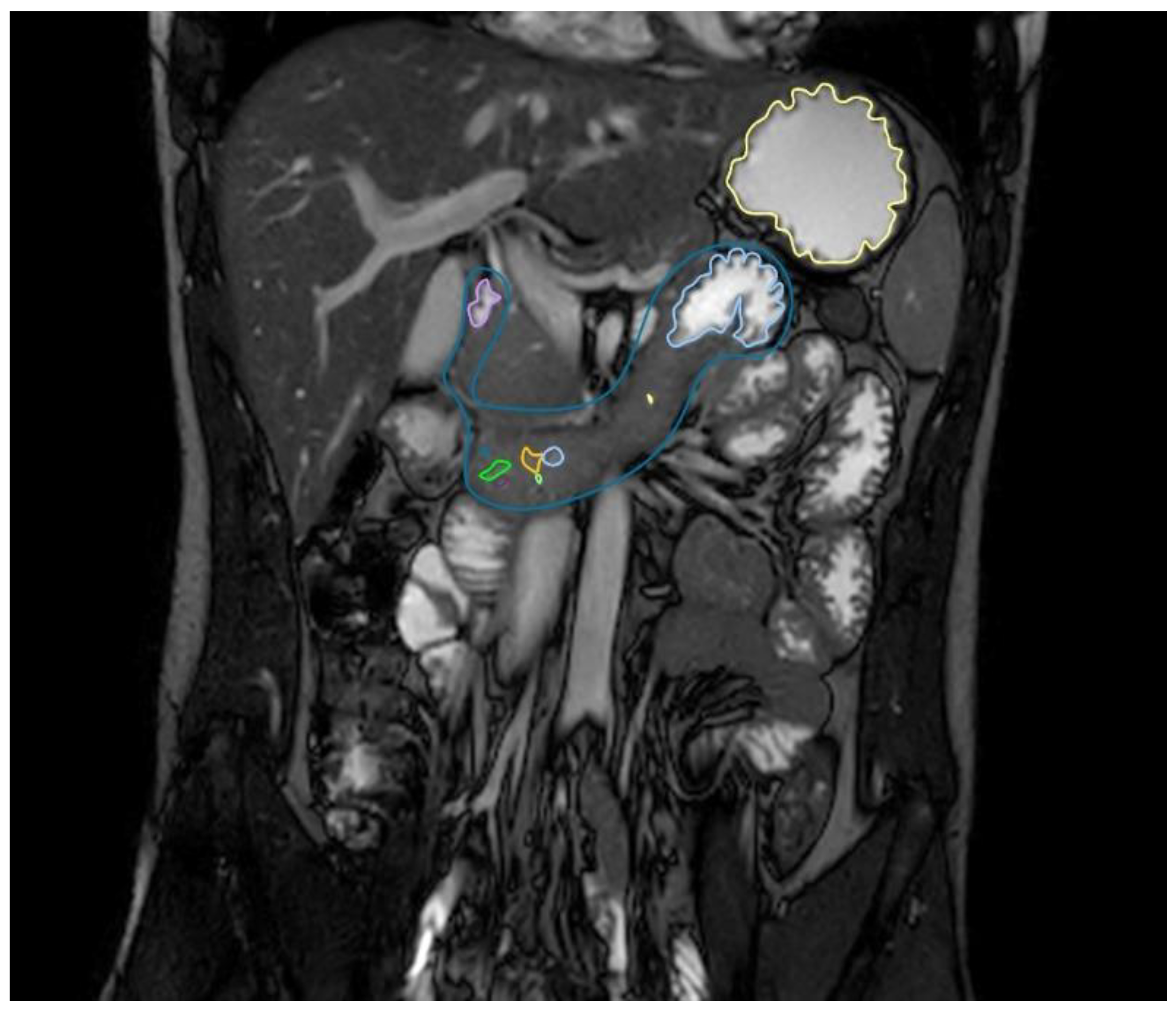 Pharmaceutics 12 00670 g001 Pharmaceutics 12 00670 g001
