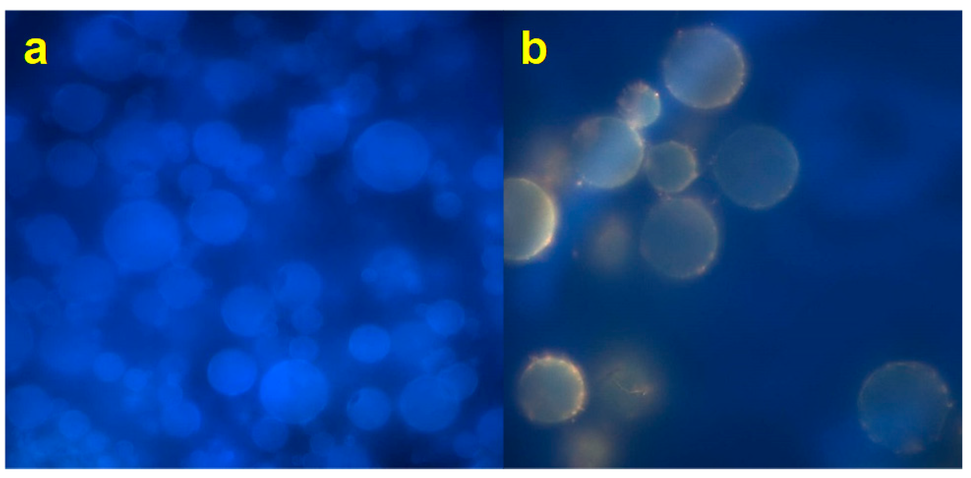Pharmaceutics 12 00671 g005 Pharmaceutics 12 00671 g005