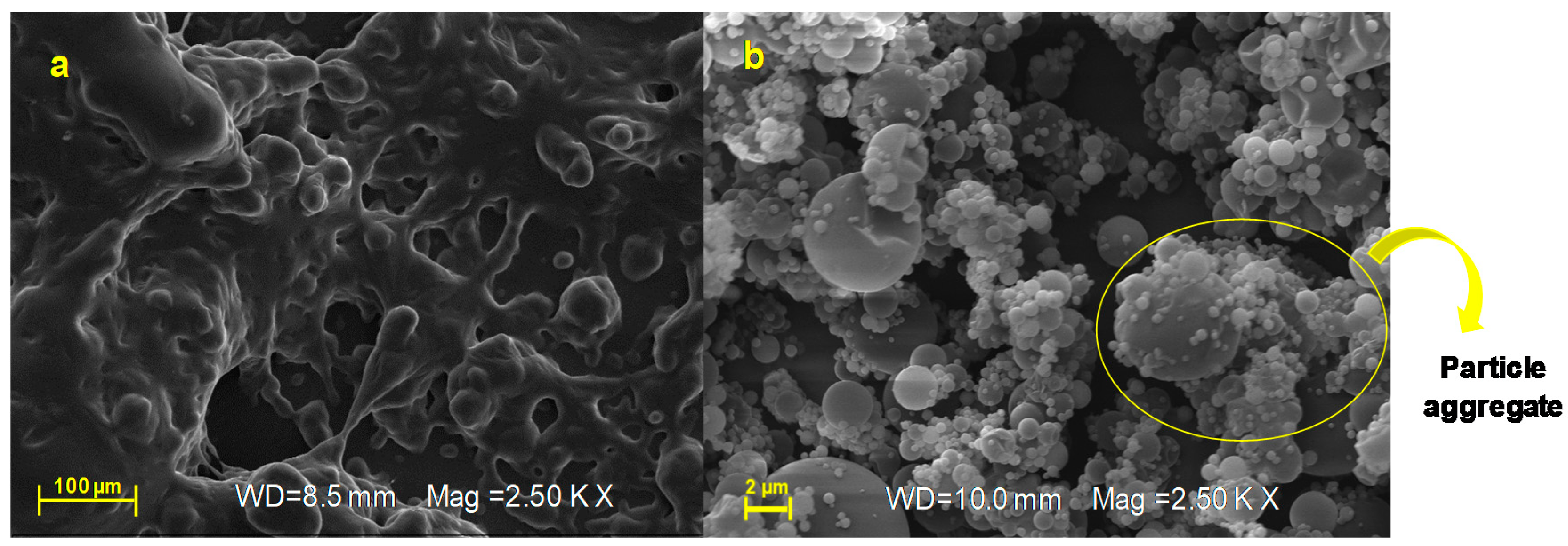 Pharmaceutics 12 00671 g008 Pharmaceutics 12 00671 g008