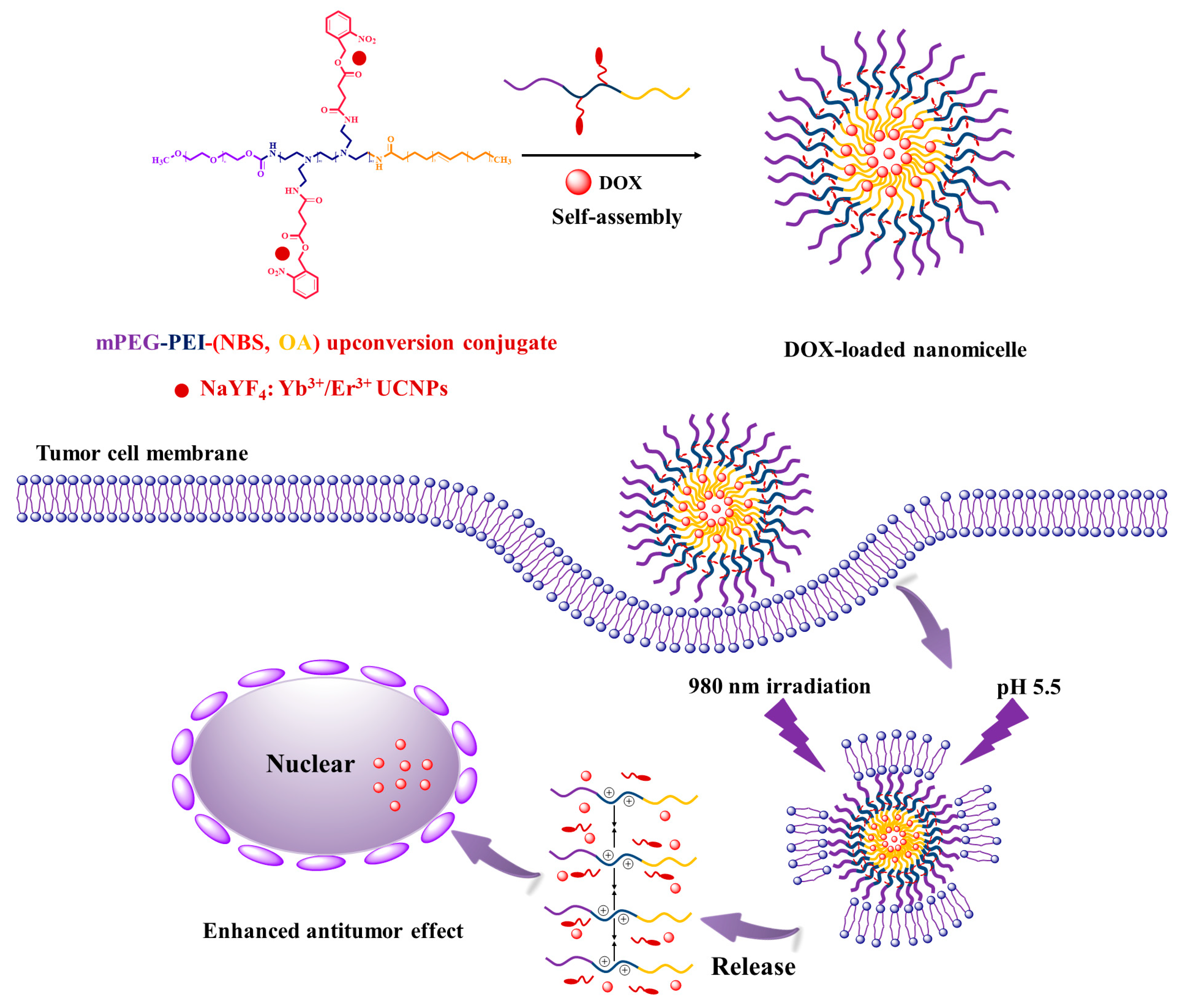 Pharmaceutics 12 00680 g001