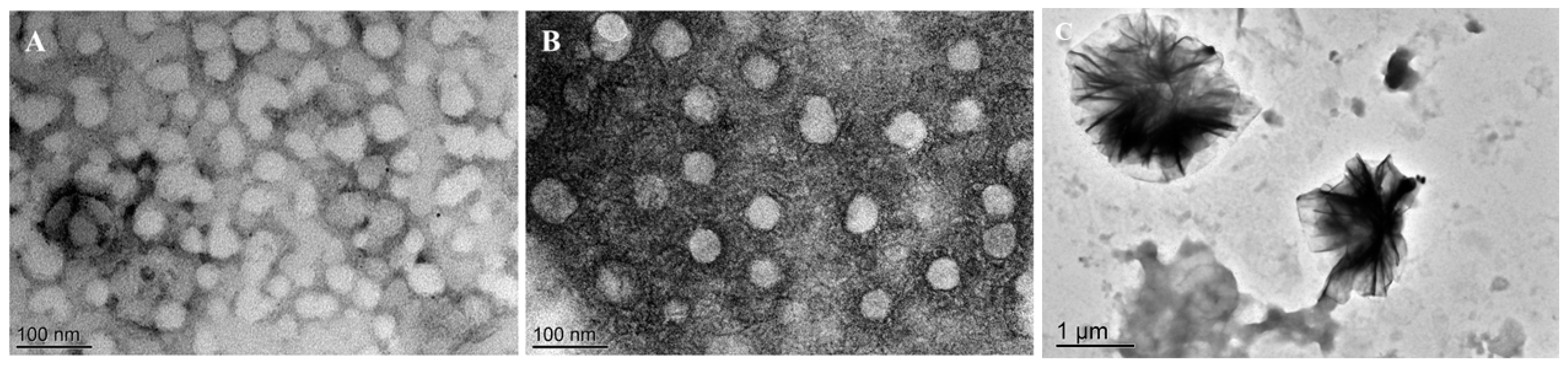 Pharmaceutics 12 00680 g005