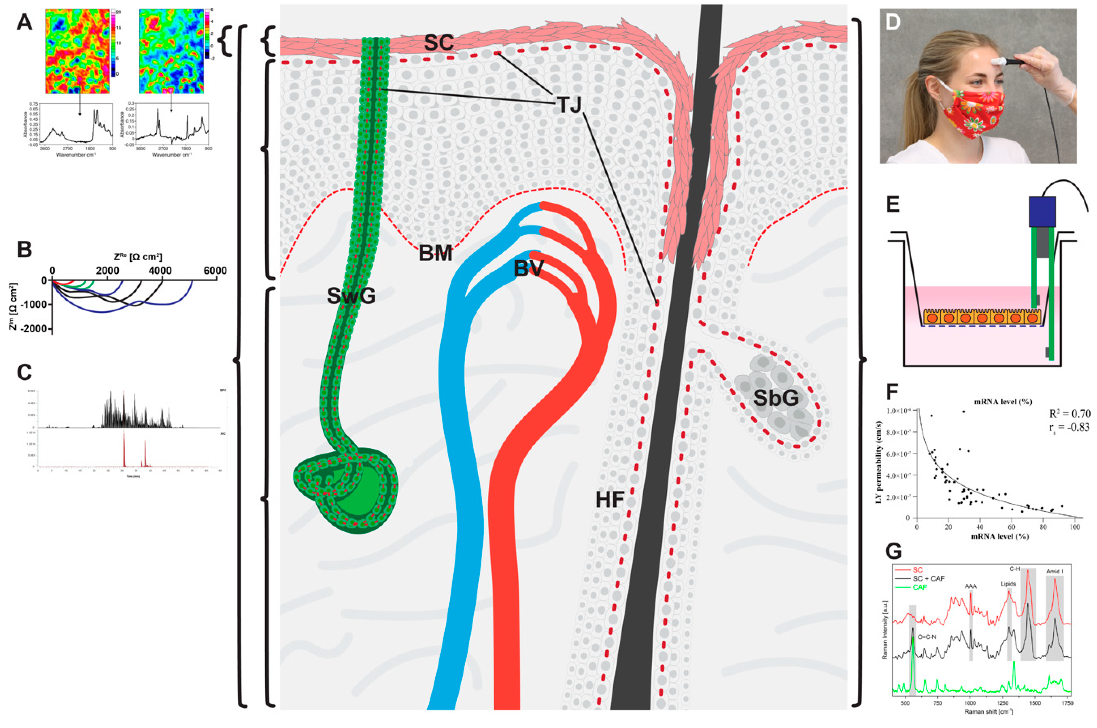 Pharmaceutics 12 00684 g003 Pharmaceutics 12 00684 g003