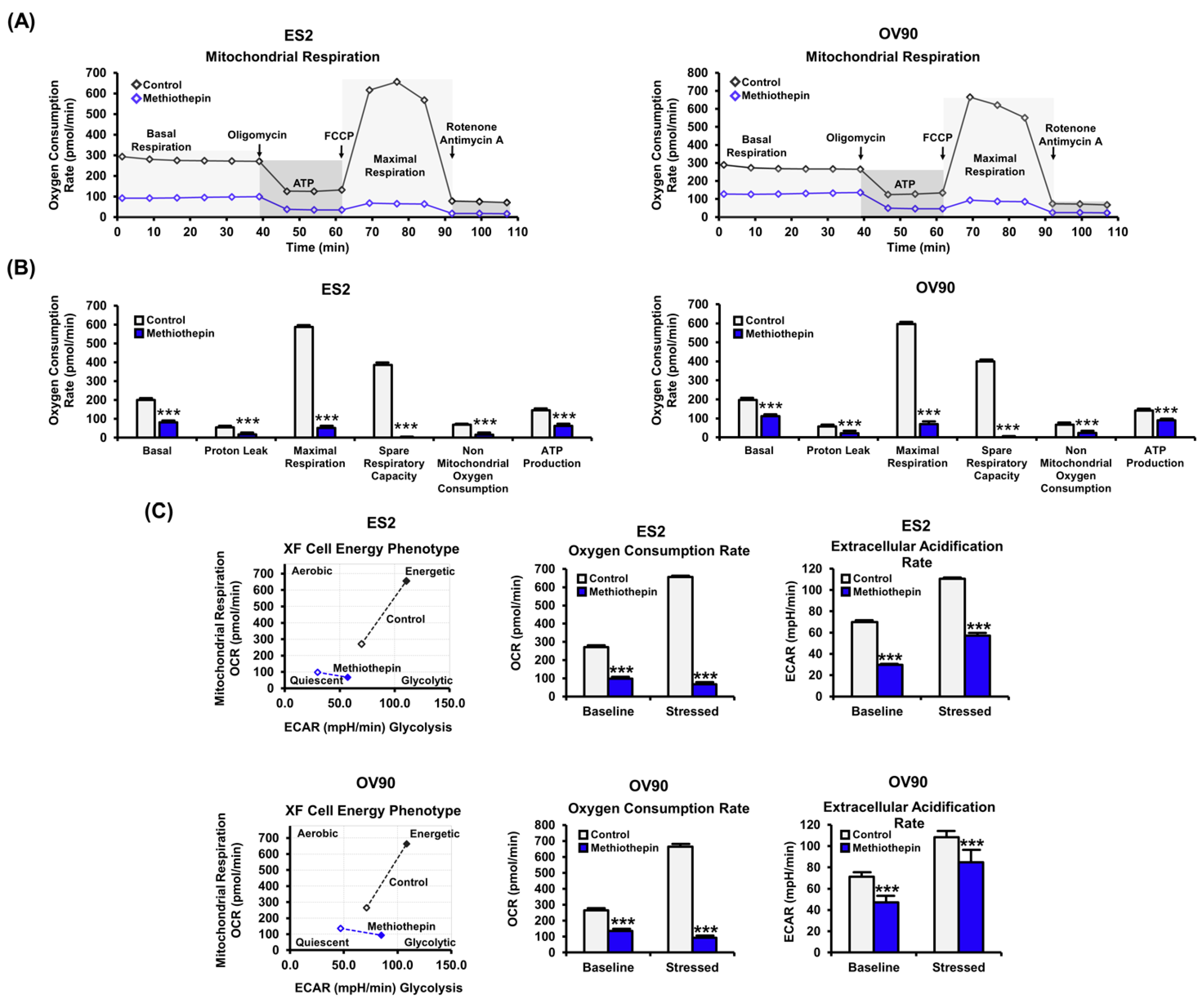 Pharmaceutics 12 00686 g005 Pharmaceutics 12 00686 g005