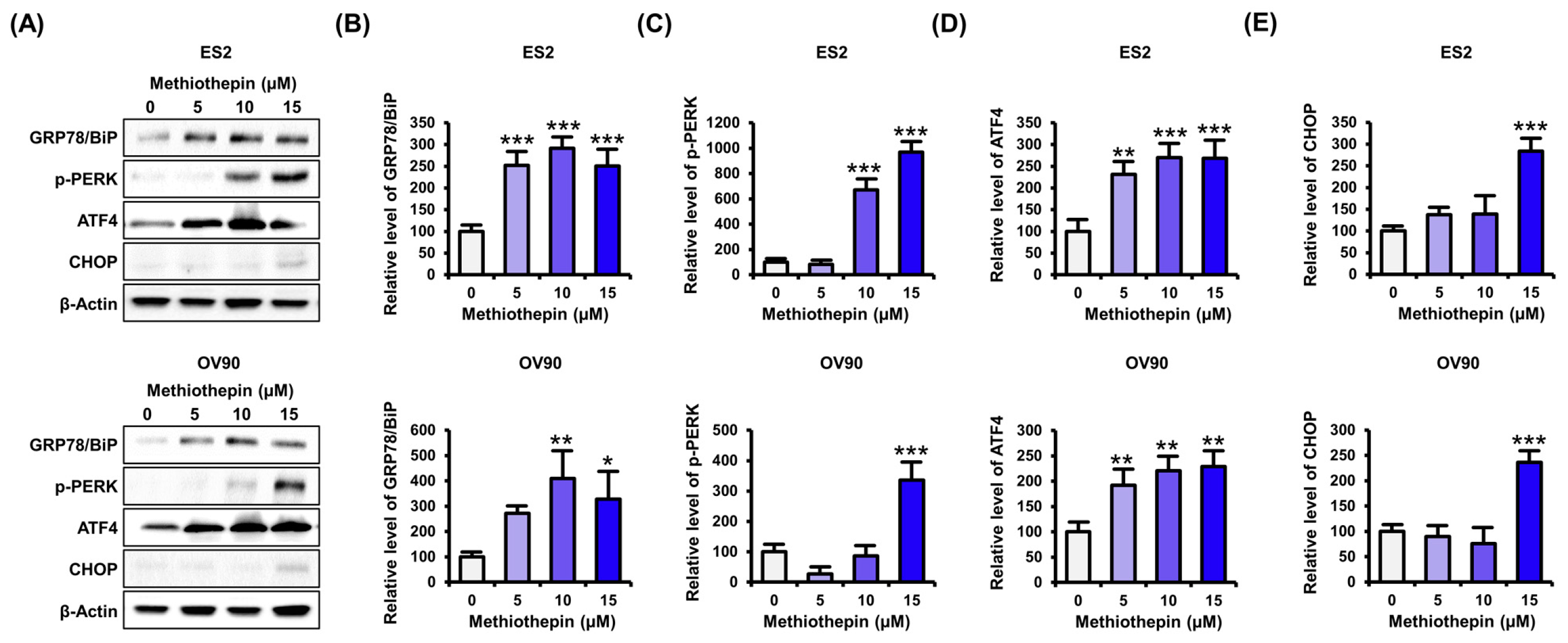 Pharmaceutics 12 00686 g006 Pharmaceutics 12 00686 g006