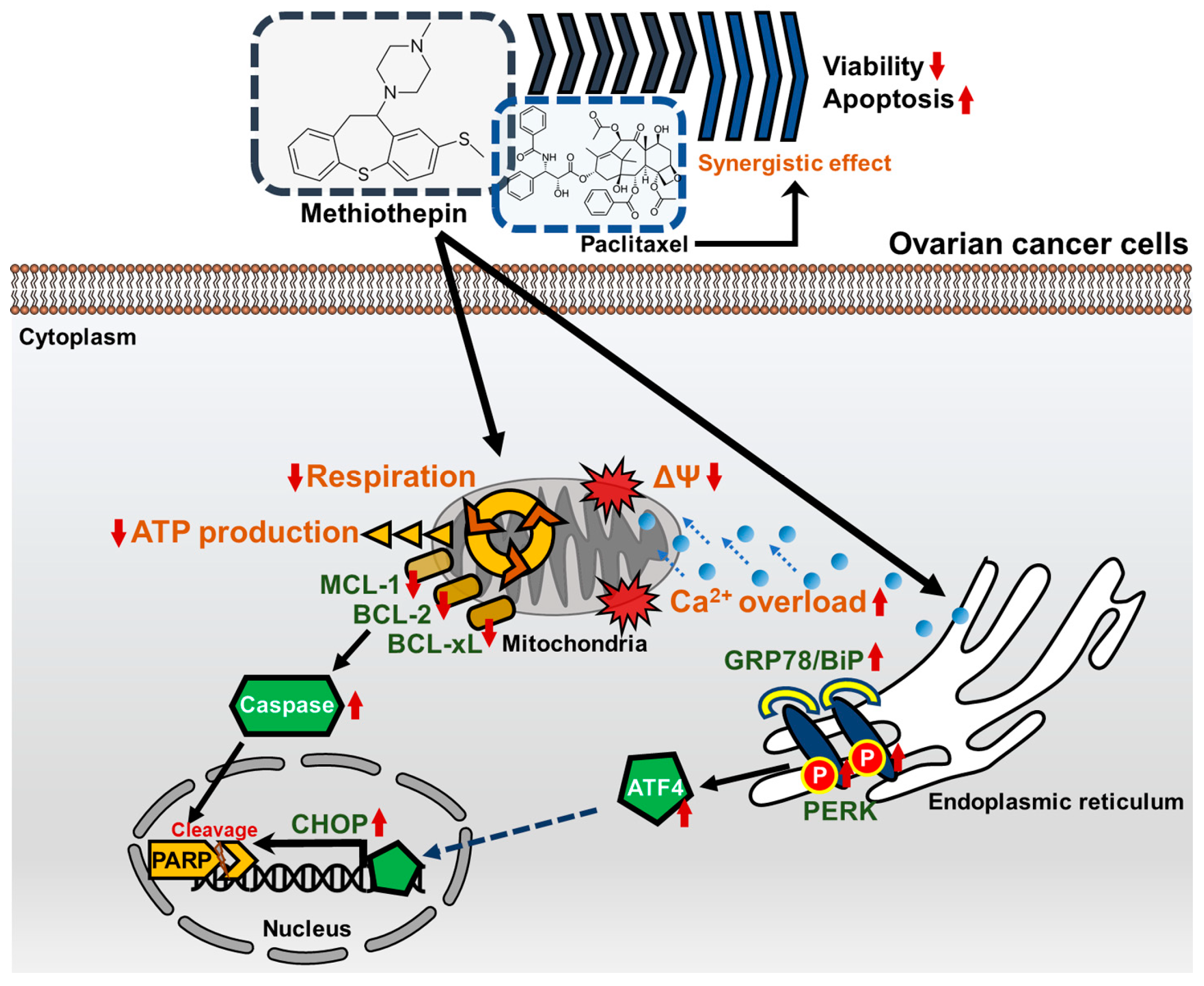 Pharmaceutics 12 00686 g009 Pharmaceutics 12 00686 g009