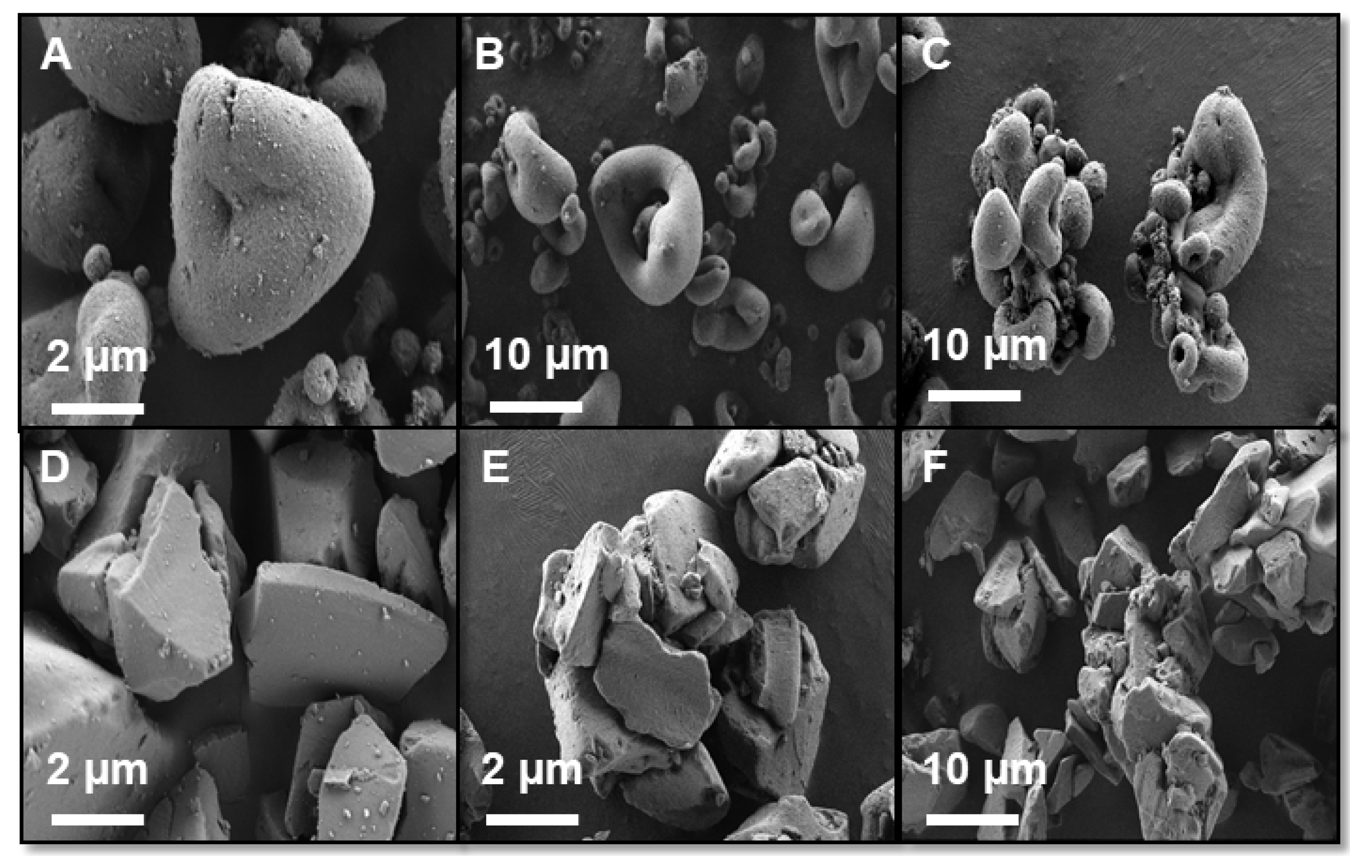 Pharmaceutics 12 00687 g003