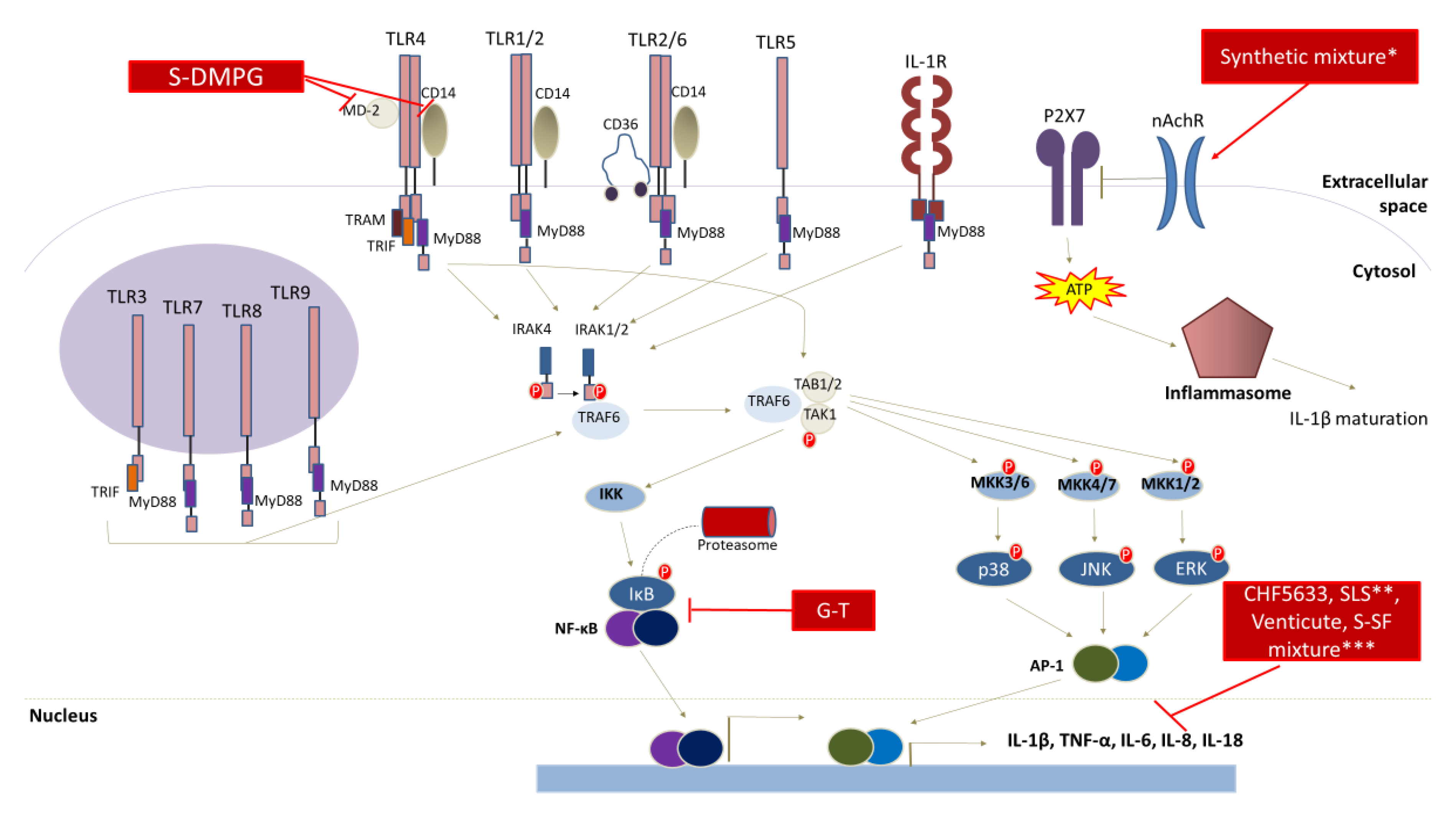 Pharmaceutics 12 00688 g002 Pharmaceutics 12 00688 g002