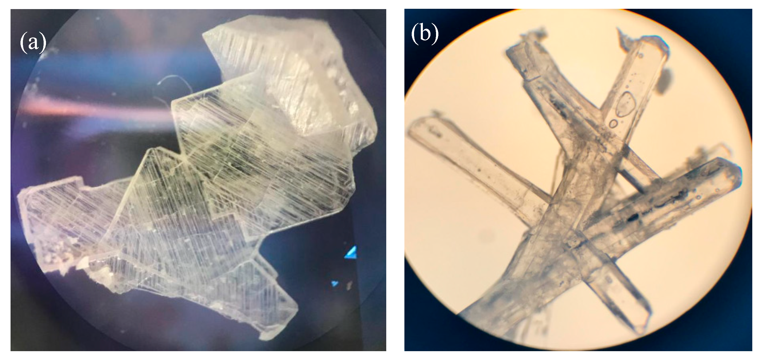 Pharmaceutics 12 00690 g009 Pharmaceutics 12 00690 g009
