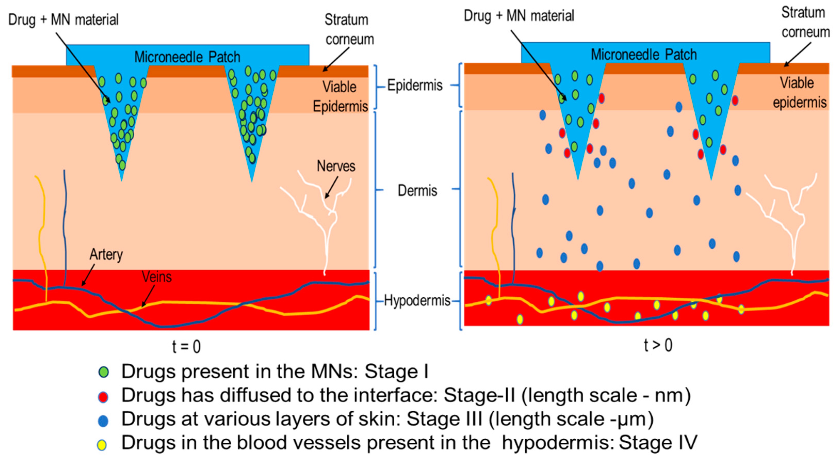 Pharmaceutics 12 00693 g002 Pharmaceutics 12 00693 g002