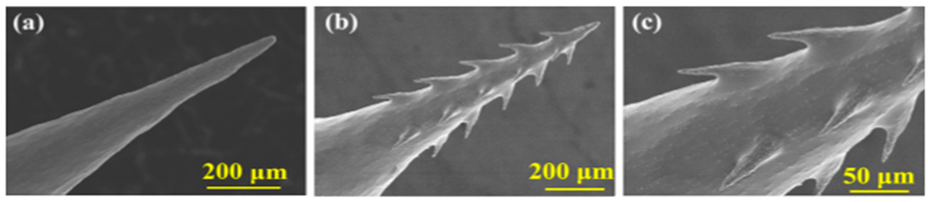 Pharmaceutics 12 00693 g006 Pharmaceutics 12 00693 g006