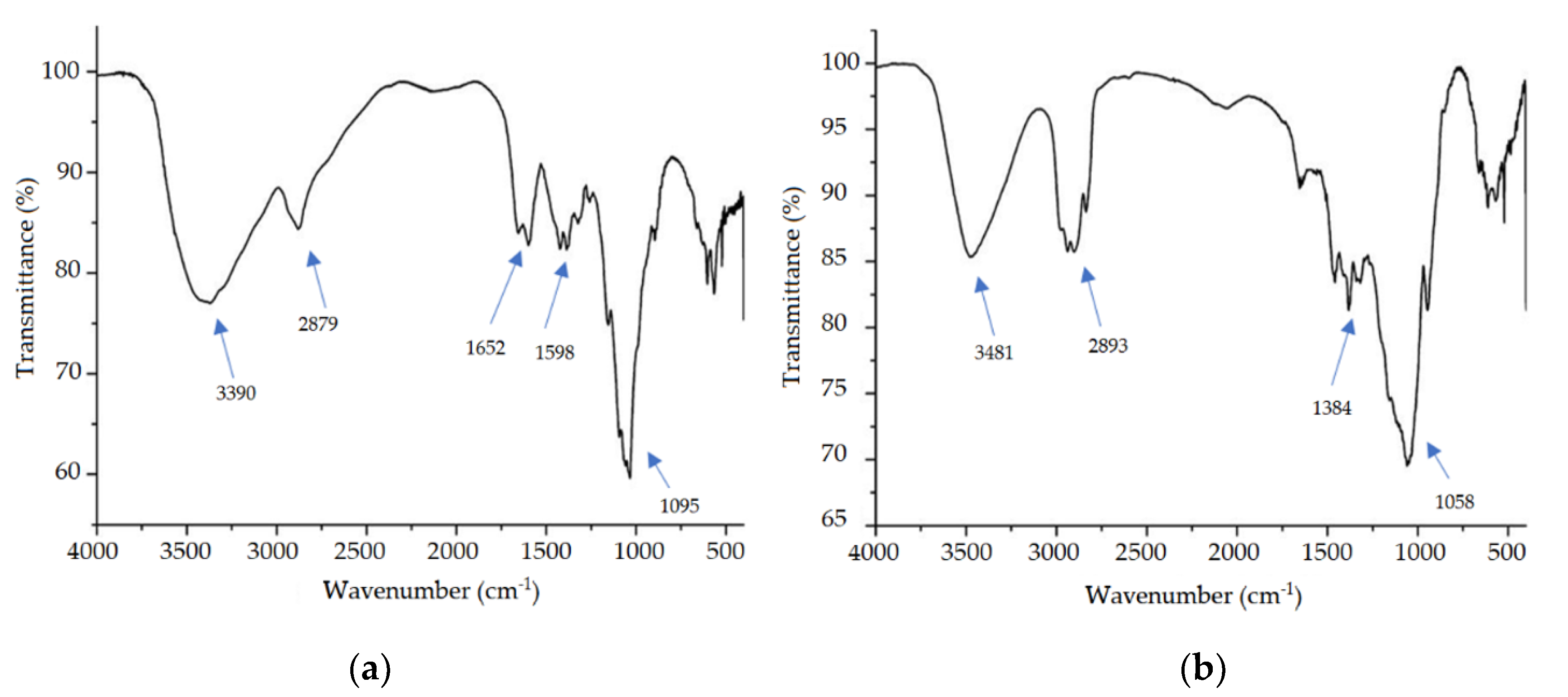 Pharmaceutics 12 00695 g004 Pharmaceutics 12 00695 g004