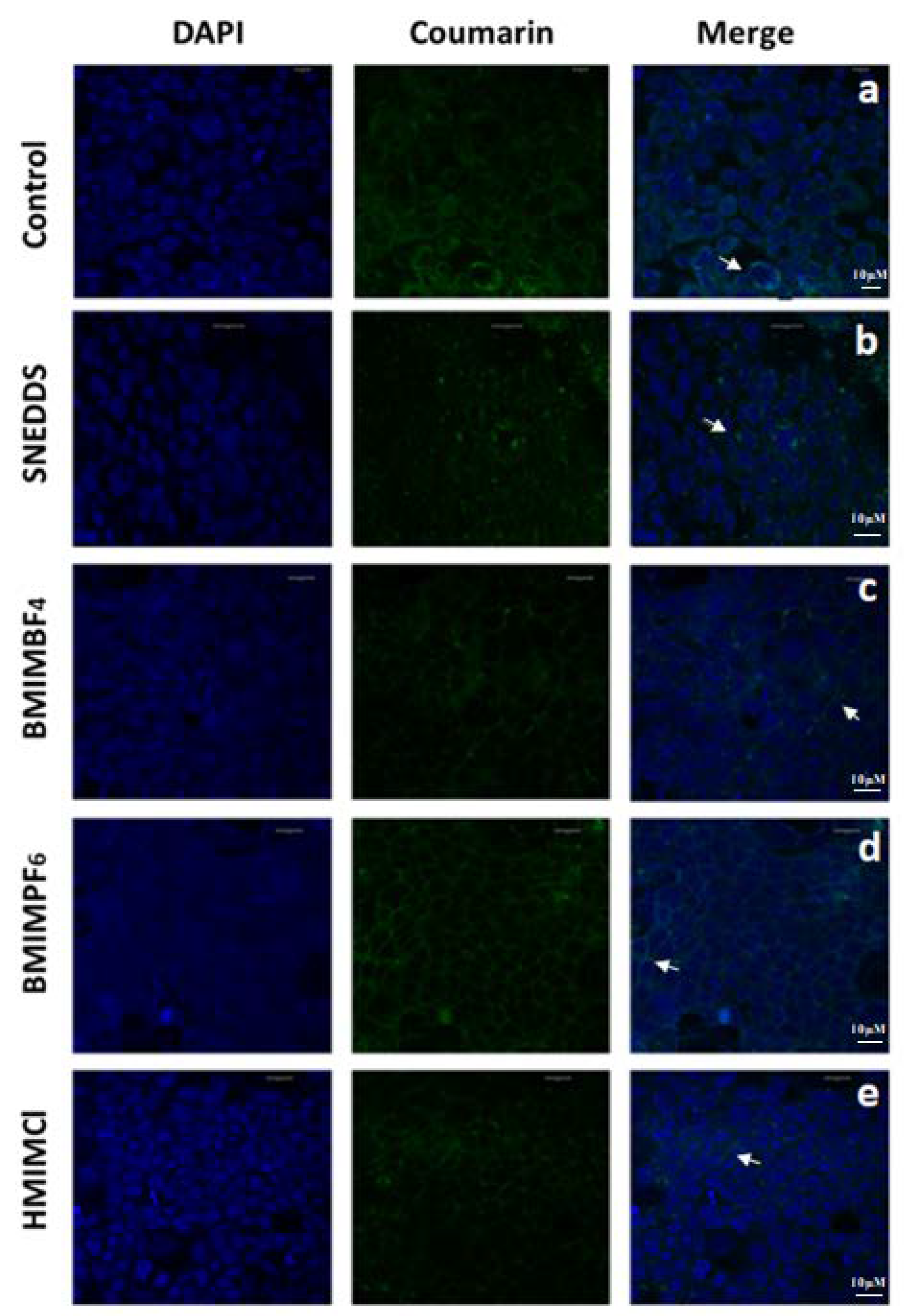 Pharmaceutics 12 00699 g008 Pharmaceutics 12 00699 g008