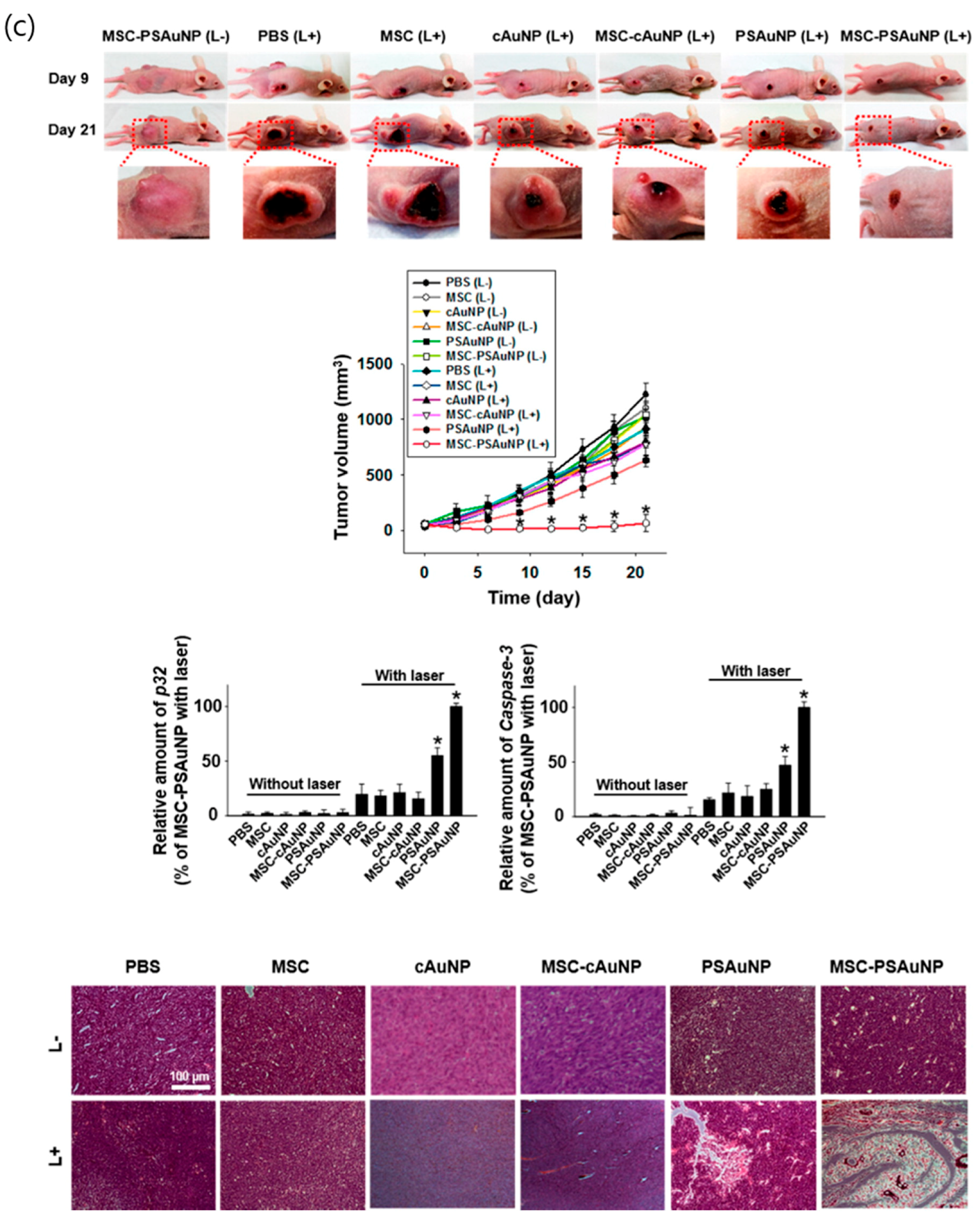 Pharmaceutics 12 00701 g002b