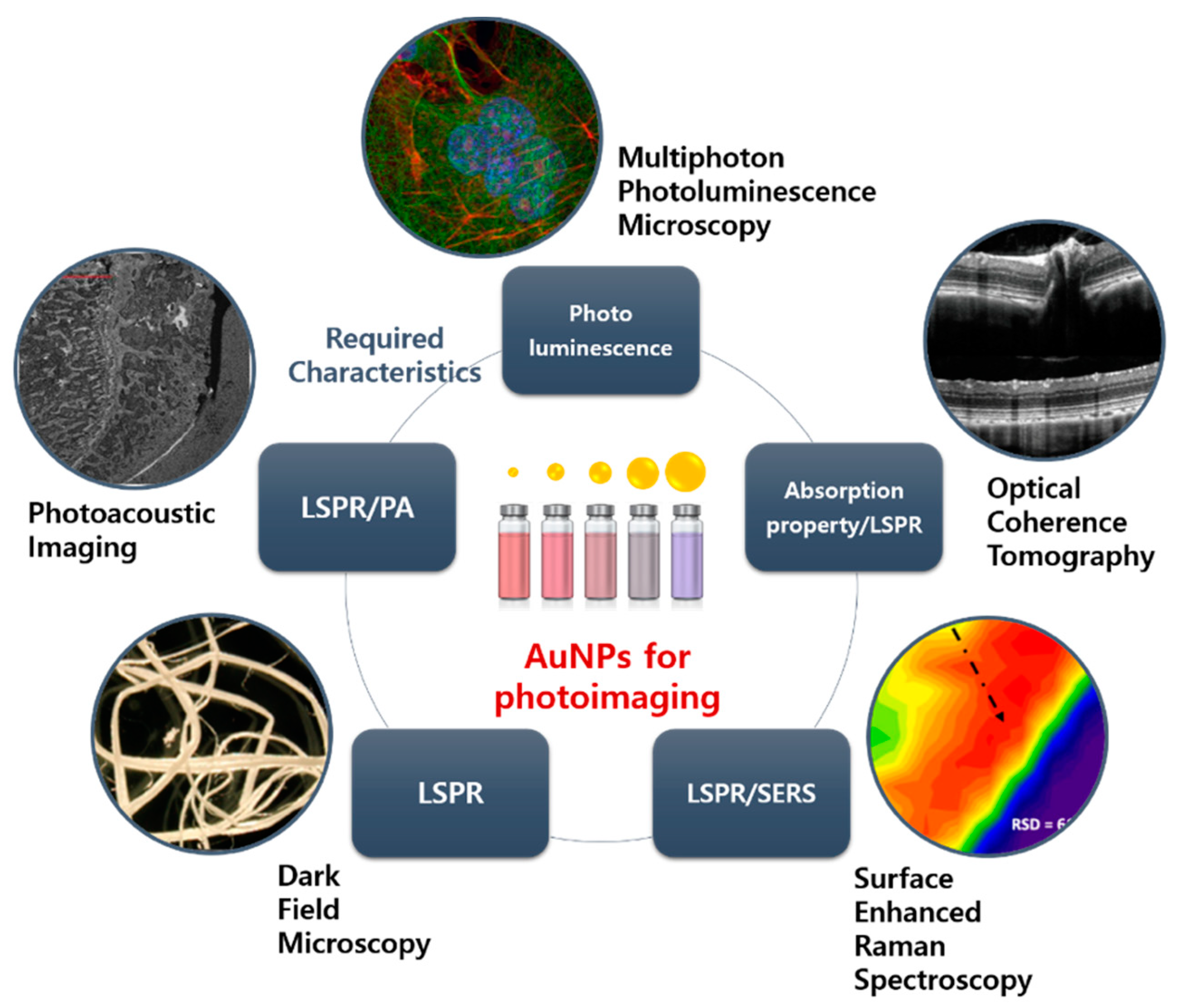 Pharmaceutics 12 00701 g004