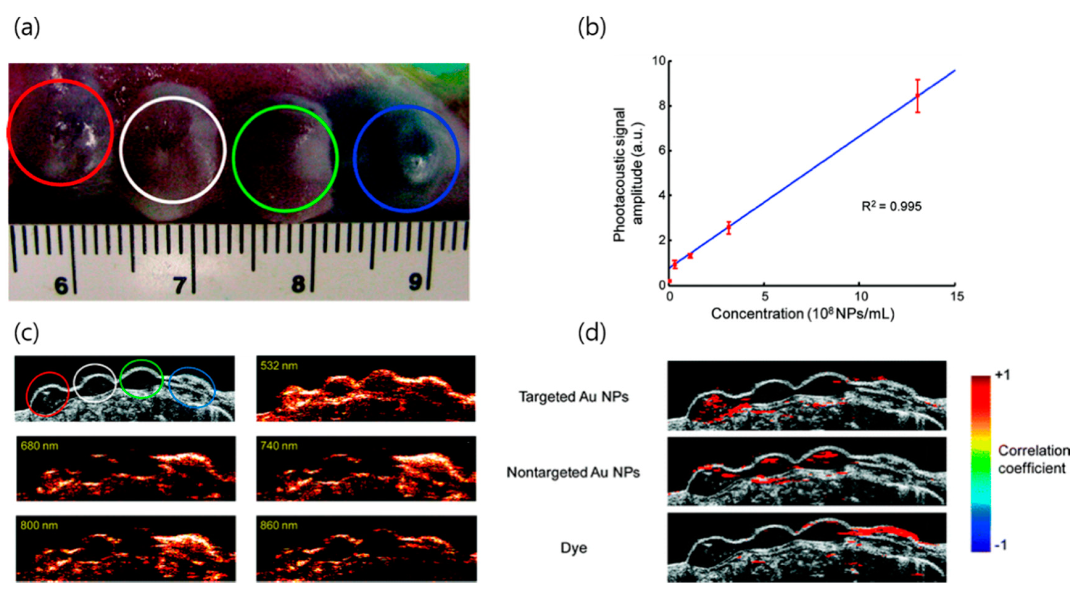 Pharmaceutics 12 00701 g005