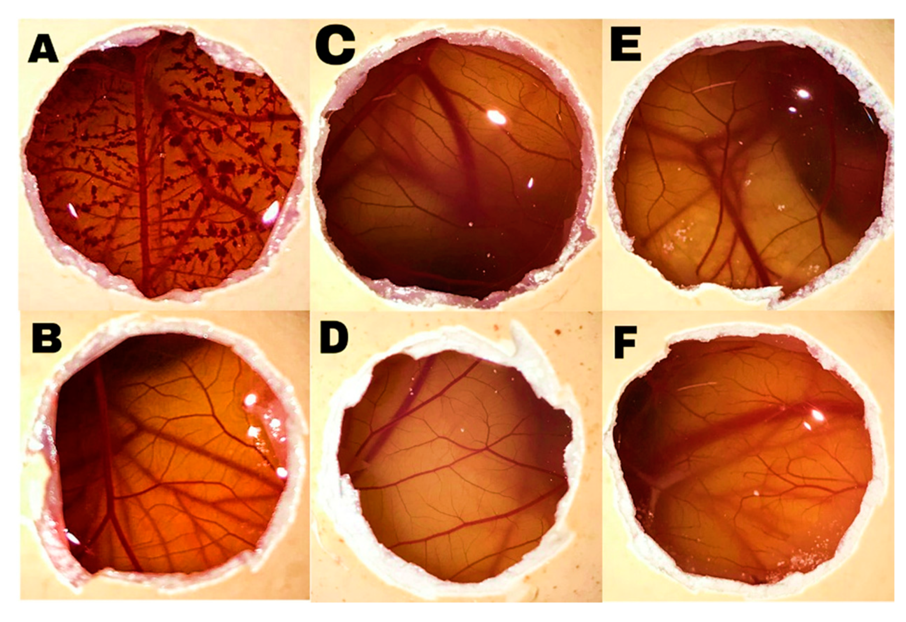 Pharmaceutics 12 00702 g003
