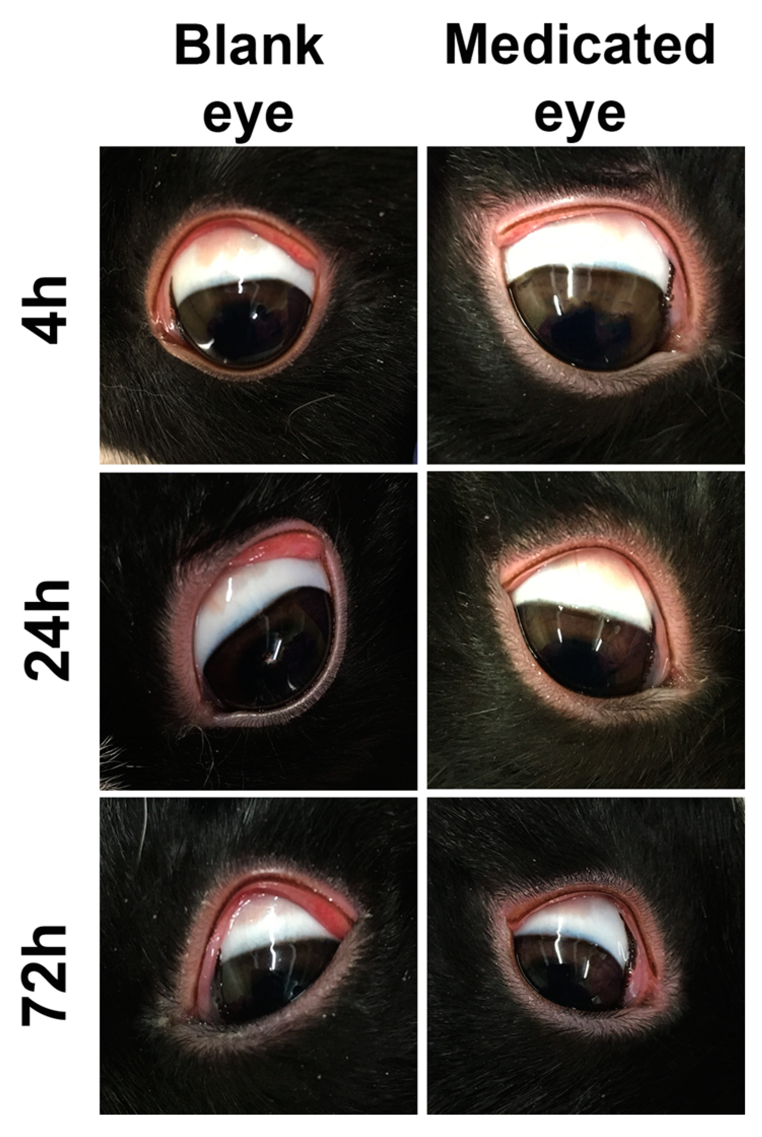 Pharmaceutics 12 00704 g005