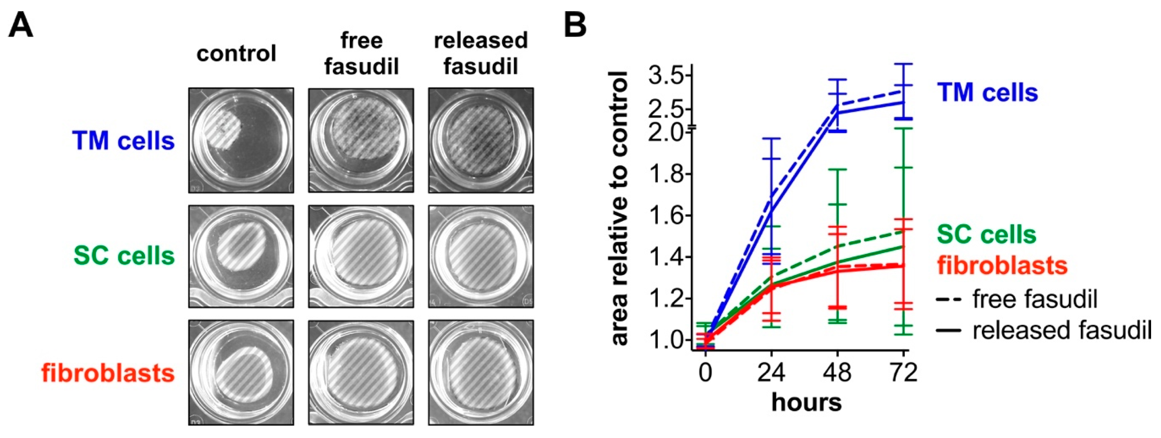 Pharmaceutics 12 00706 g005 Pharmaceutics 12 00706 g005