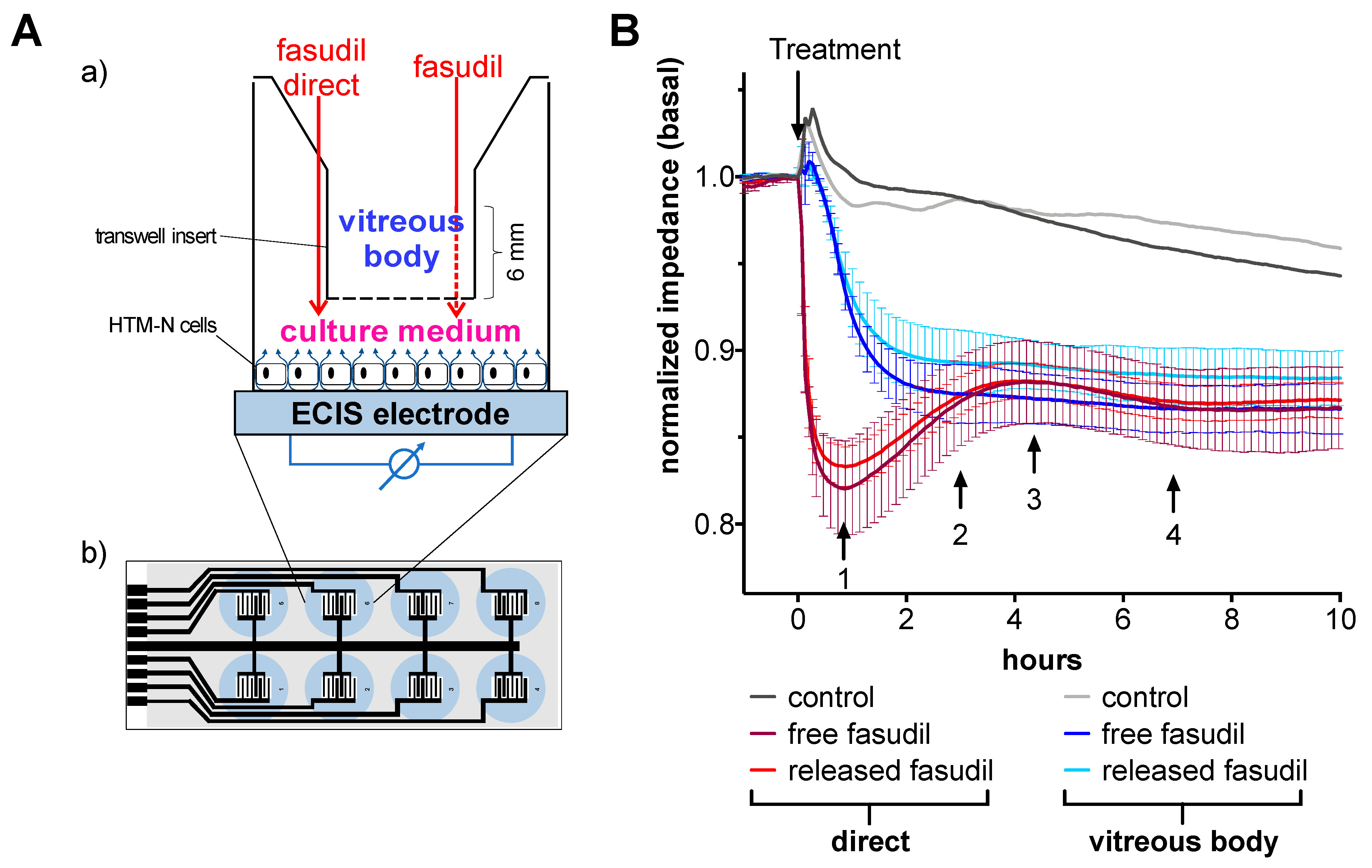 Pharmaceutics 12 00706 g006 Pharmaceutics 12 00706 g006