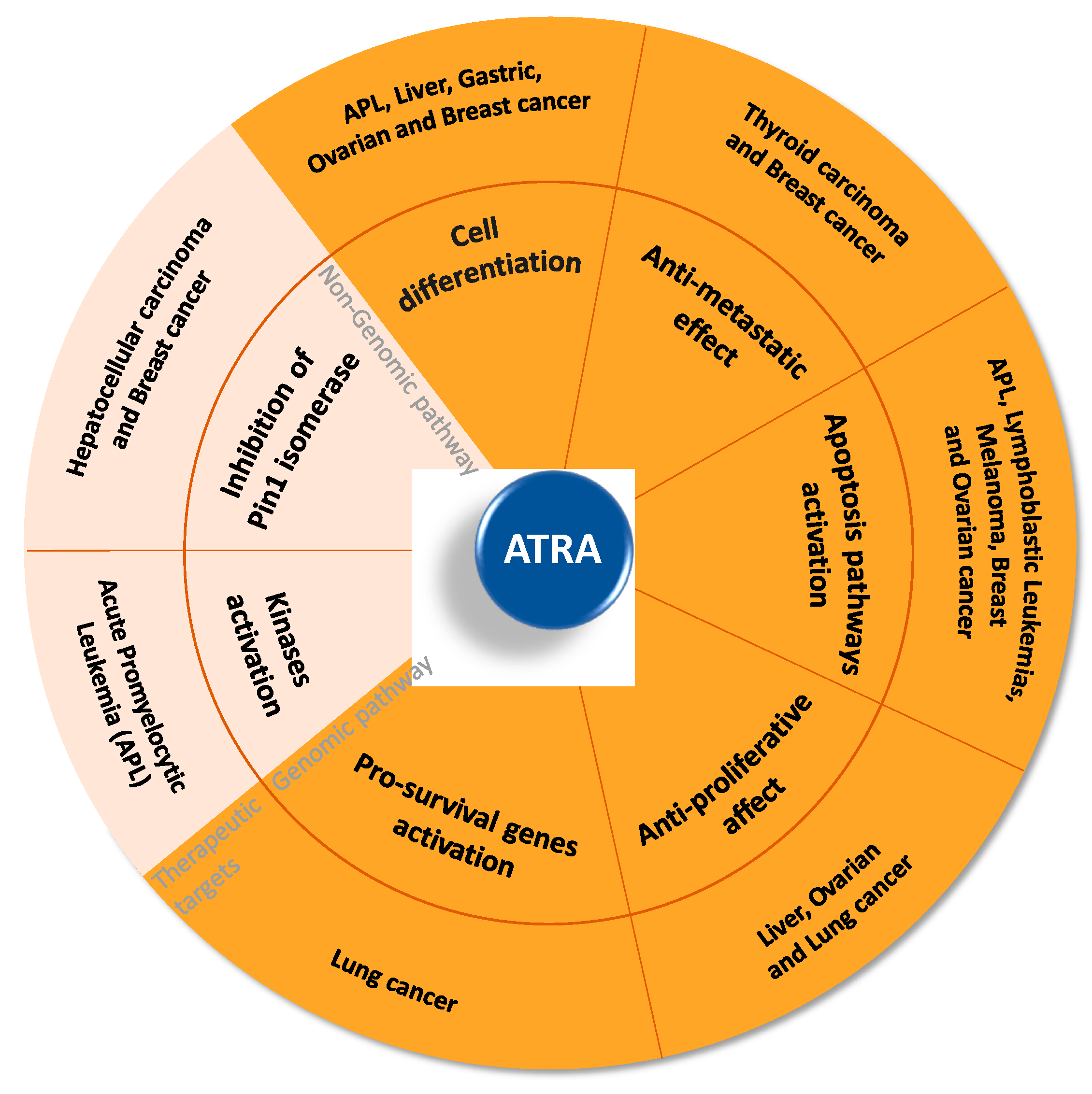 Pharmaceutics 12 00707 g003 Pharmaceutics 12 00707 g003