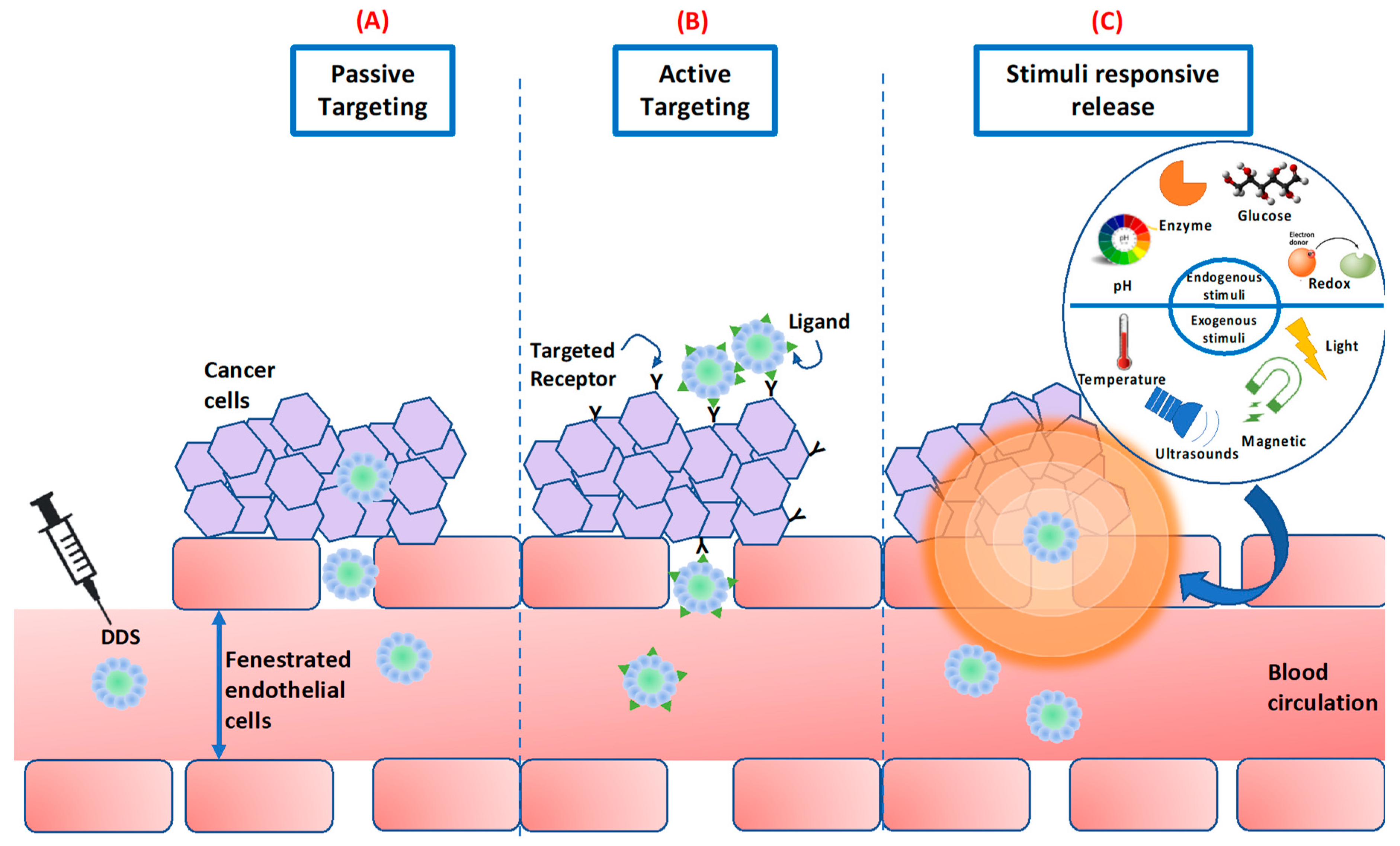 Pharmaceutics 12 00707 g004 Pharmaceutics 12 00707 g004