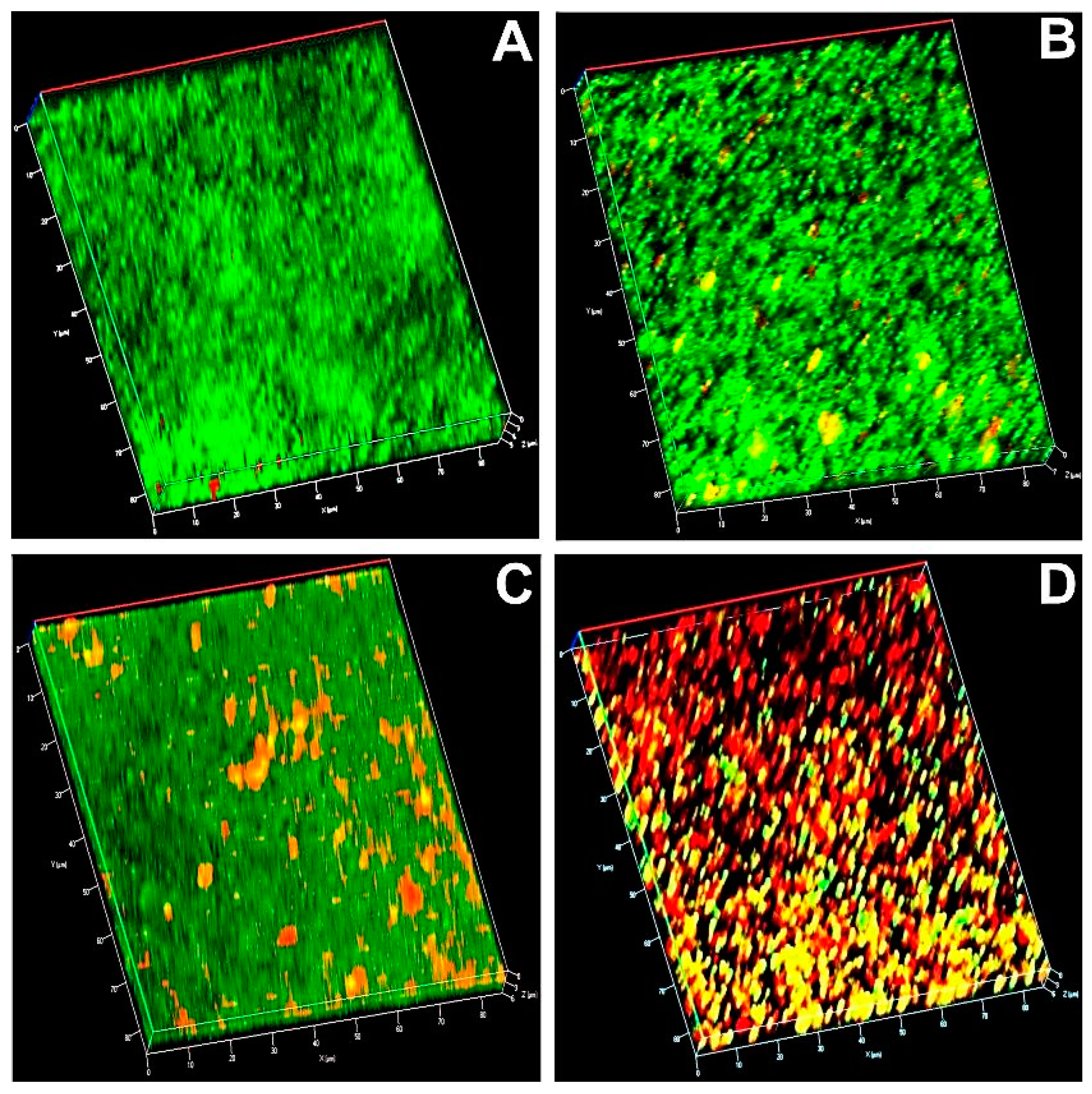 Pharmaceutics 12 00709 g007