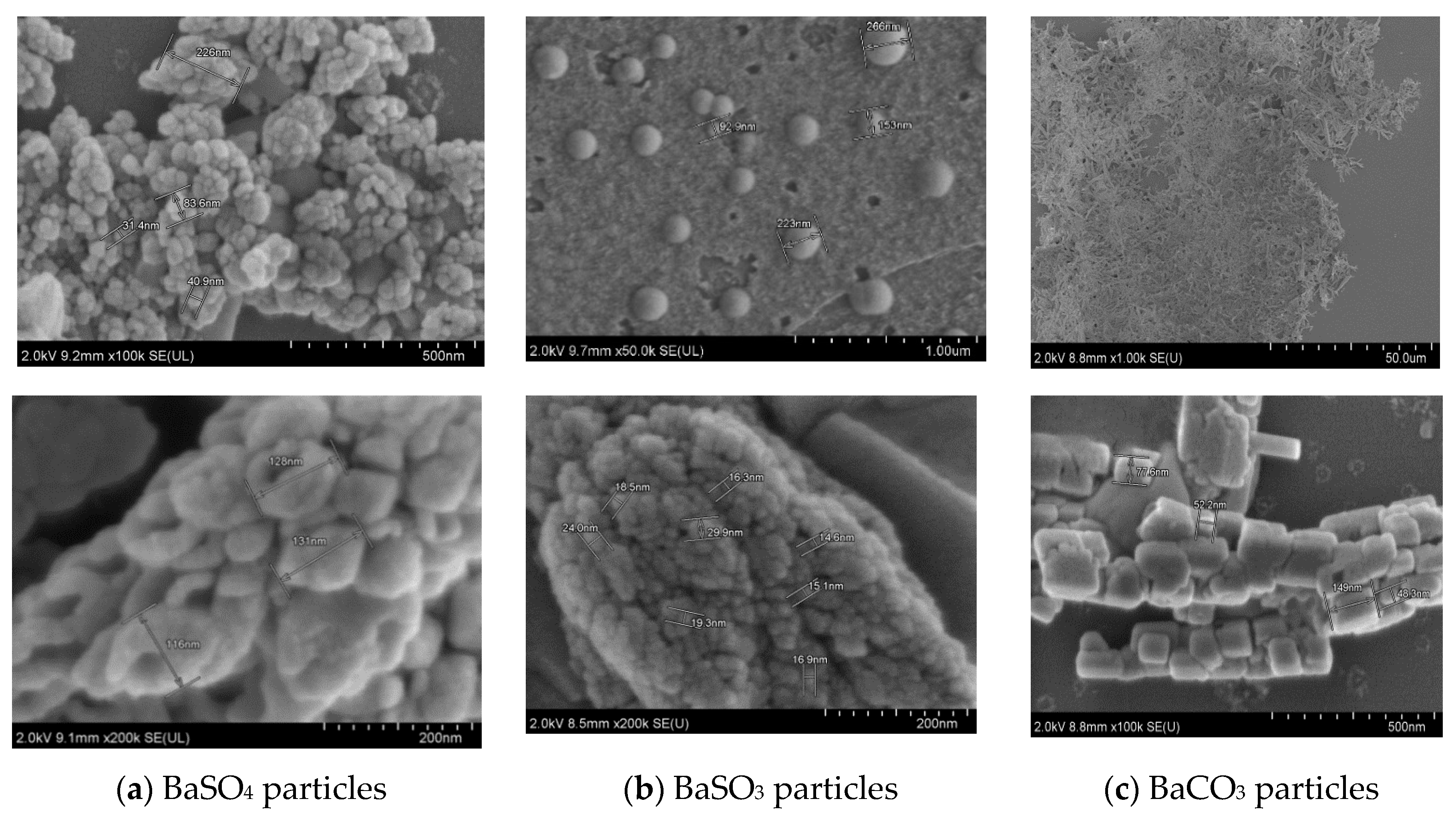 Pharmaceutics 12 00710 g007 Pharmaceutics 12 00710 g007