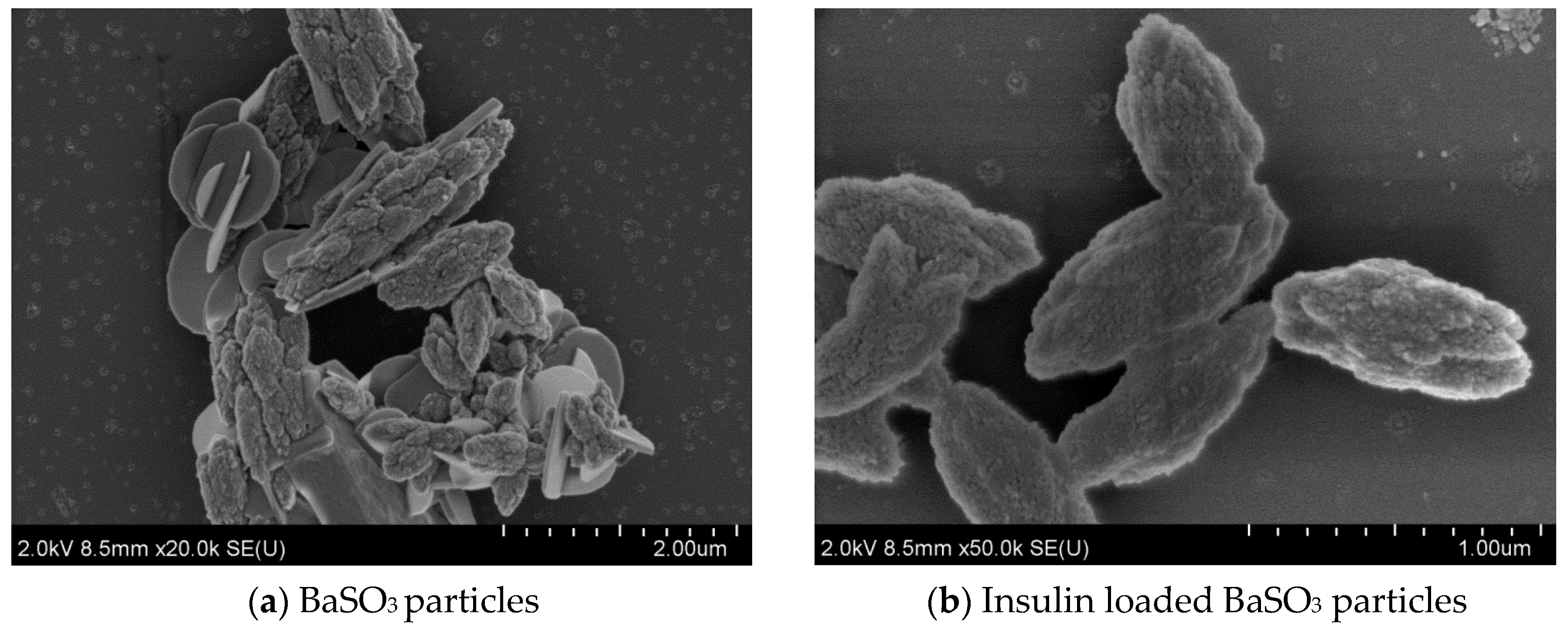Pharmaceutics 12 00710 g009 Pharmaceutics 12 00710 g009