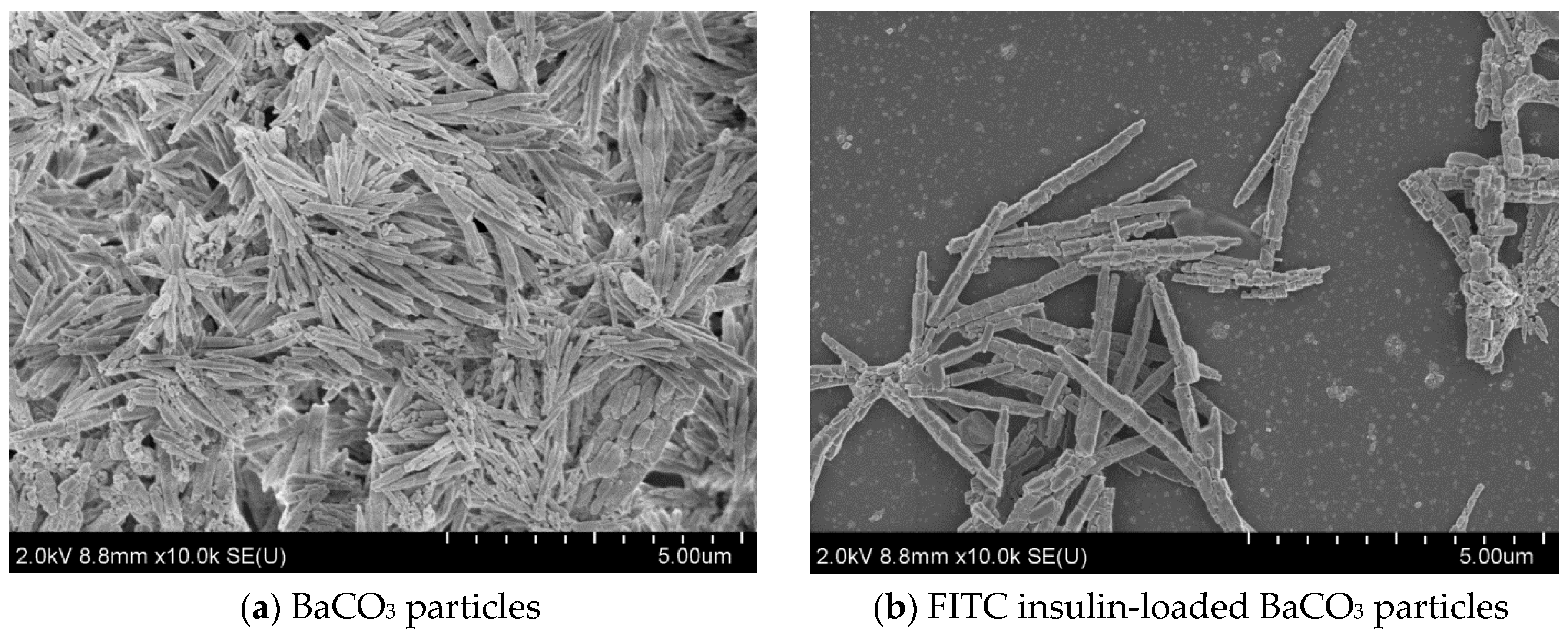 Pharmaceutics 12 00710 g010 Pharmaceutics 12 00710 g010