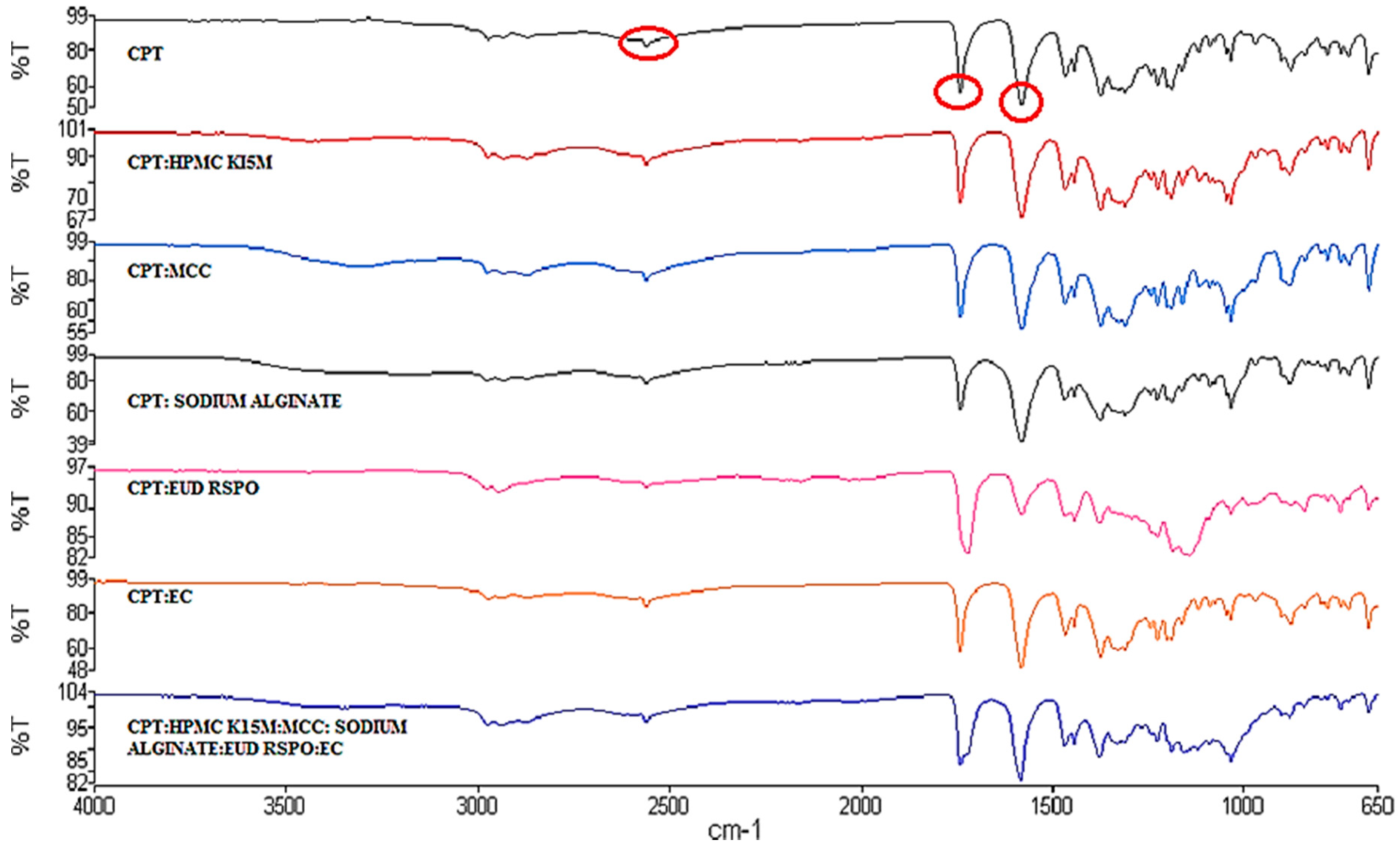 Pharmaceutics 12 00712 g006