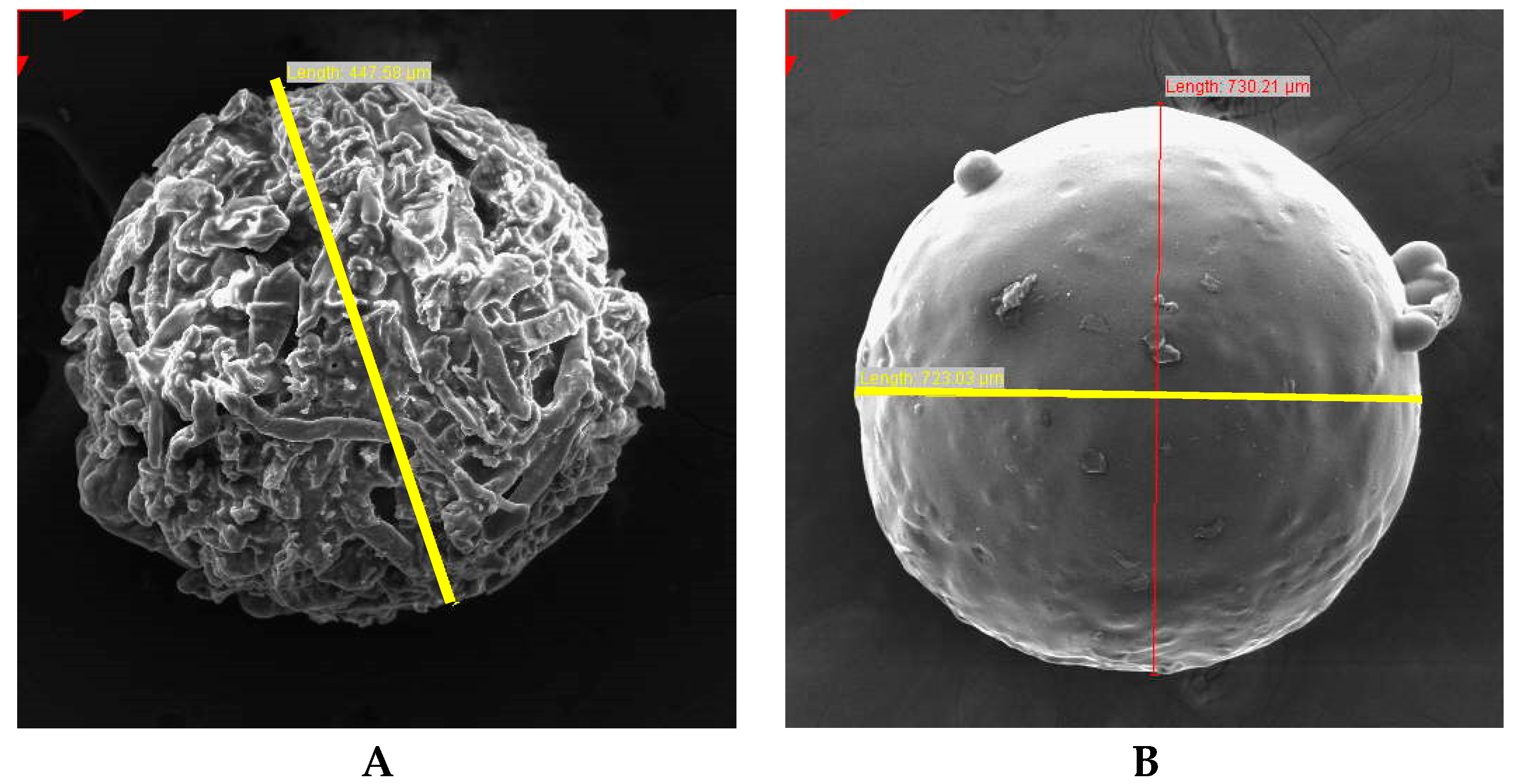 Pharmaceutics 12 00712 g011