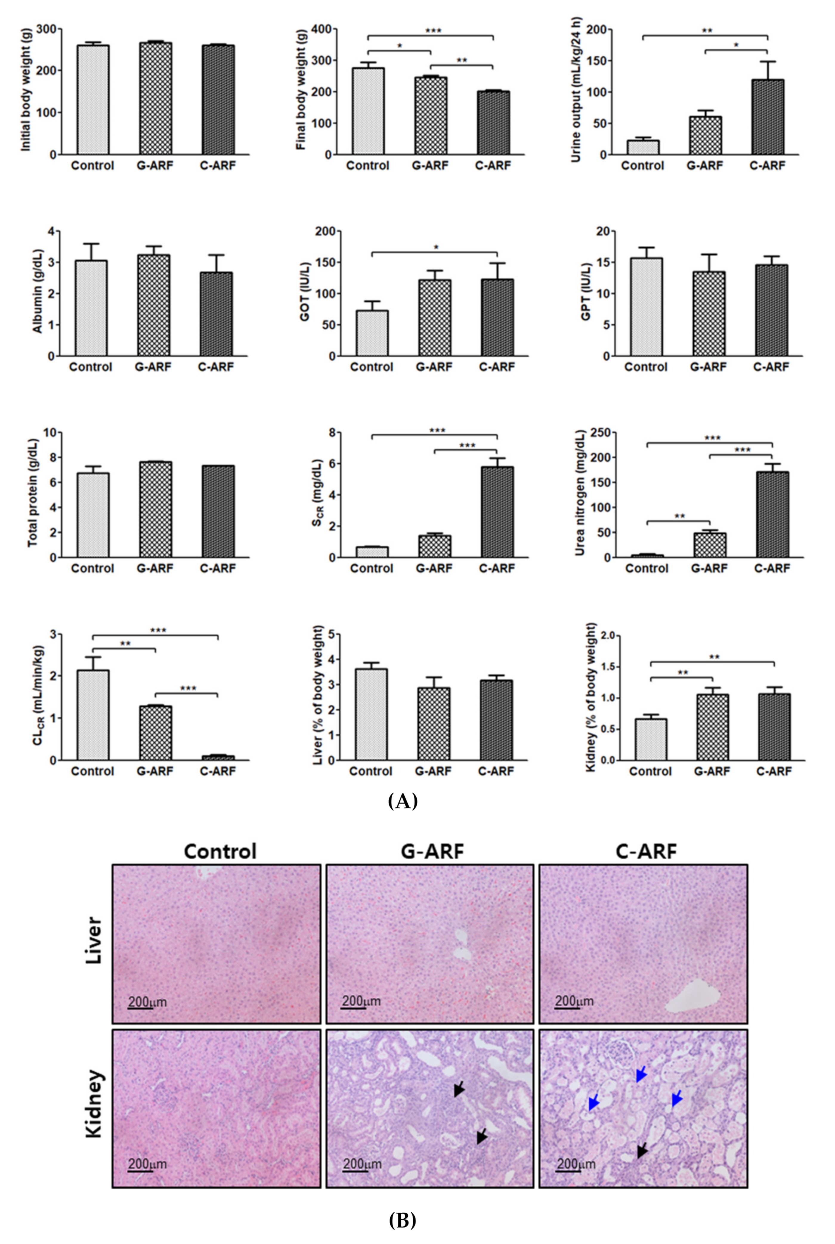 Pharmaceutics 12 00714 g002 Pharmaceutics 12 00714 g002