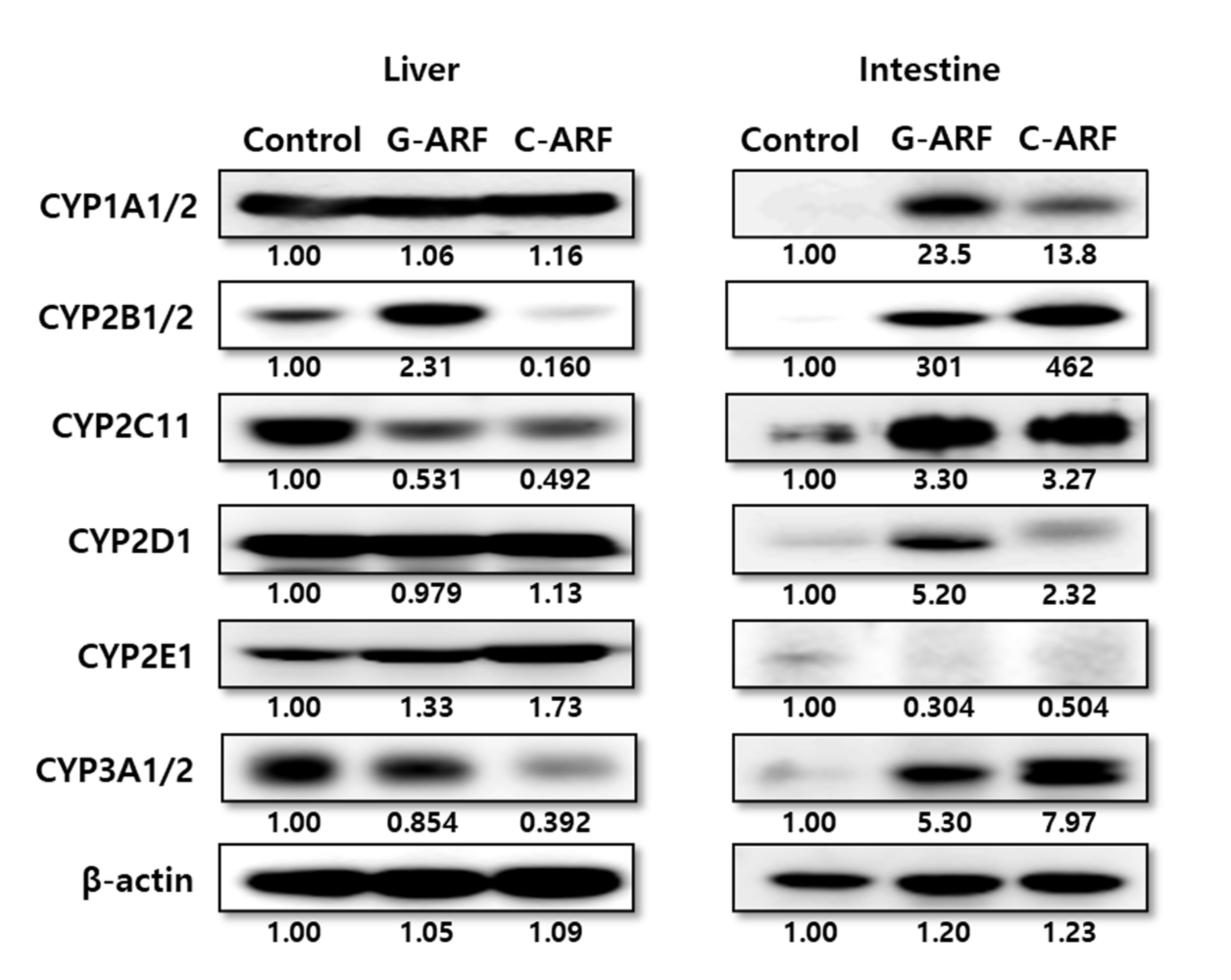 Pharmaceutics 12 00714 g005 Pharmaceutics 12 00714 g005