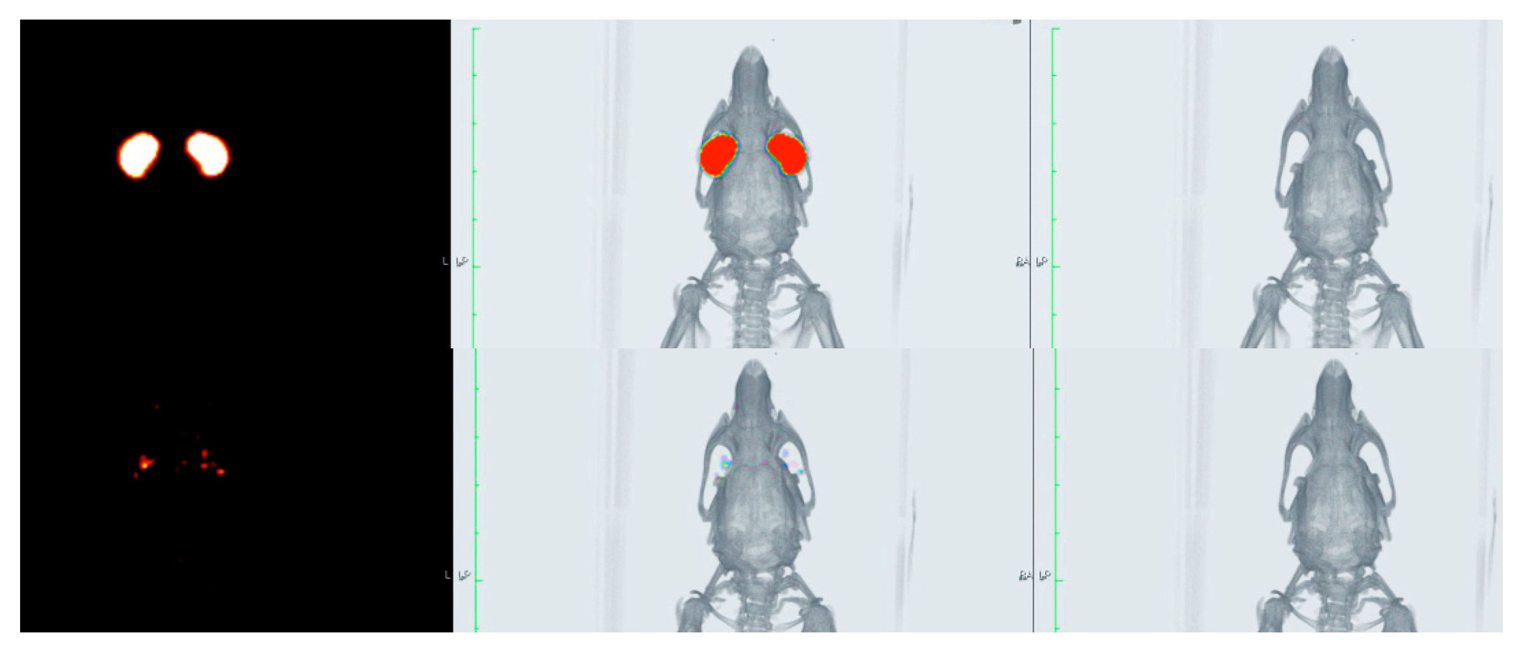 Pharmaceutics 12 00717 g007 Pharmaceutics 12 00717 g007
