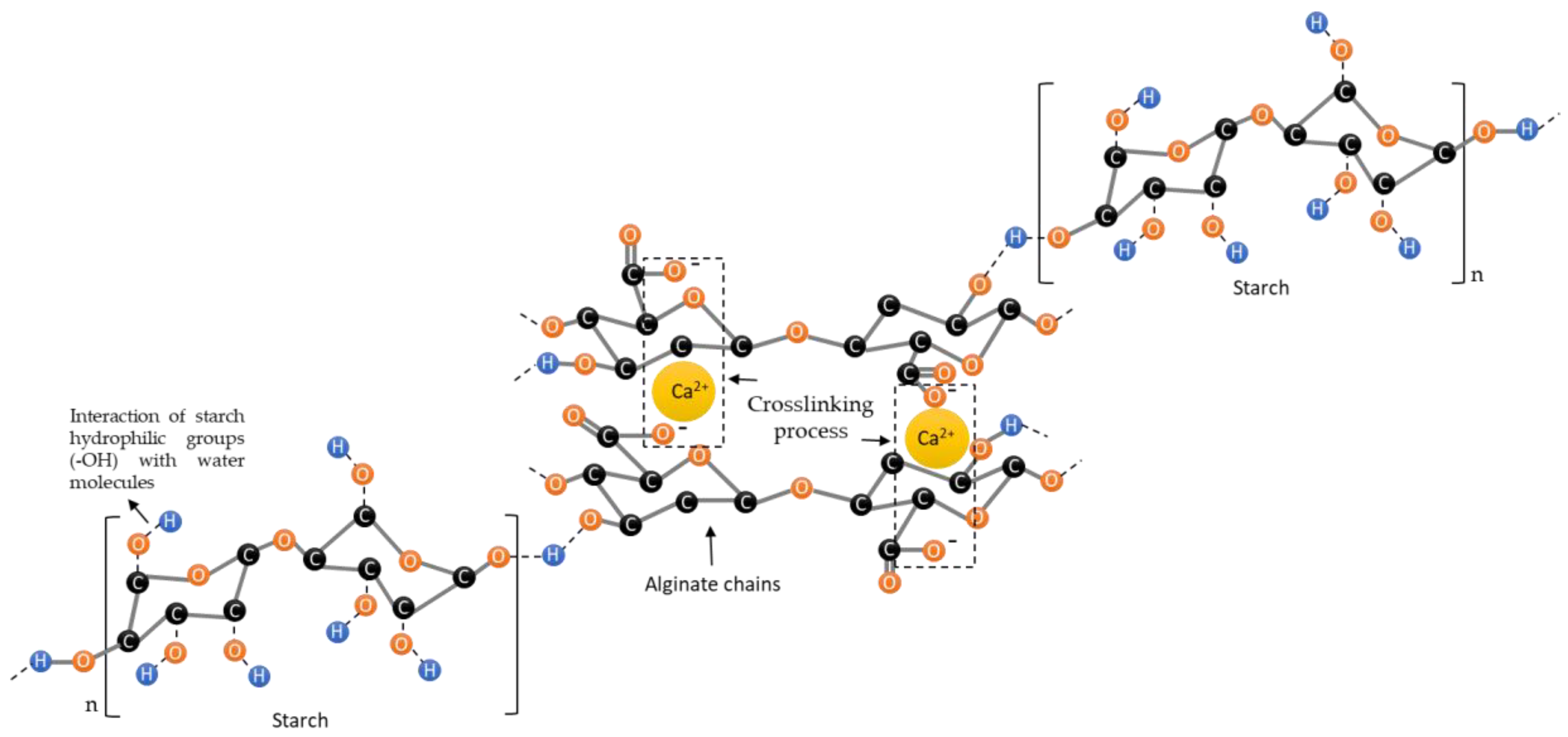 Pharmaceutics 12 00719 g005