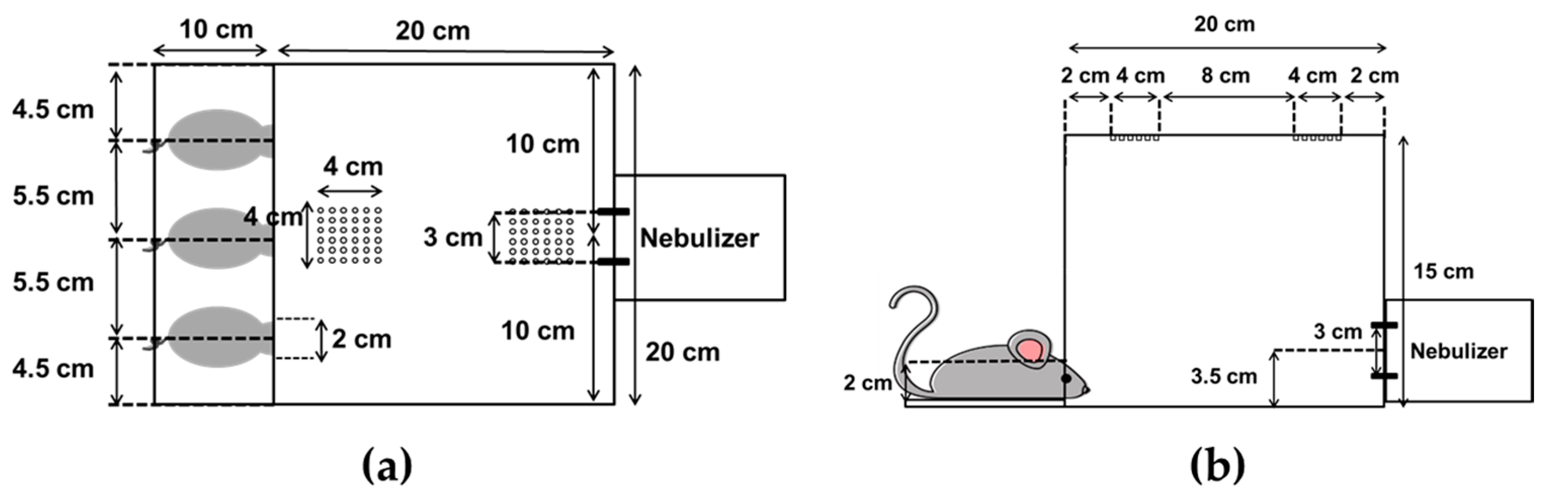 Pharmaceutics 12 00721 g001 Pharmaceutics 12 00721 g001