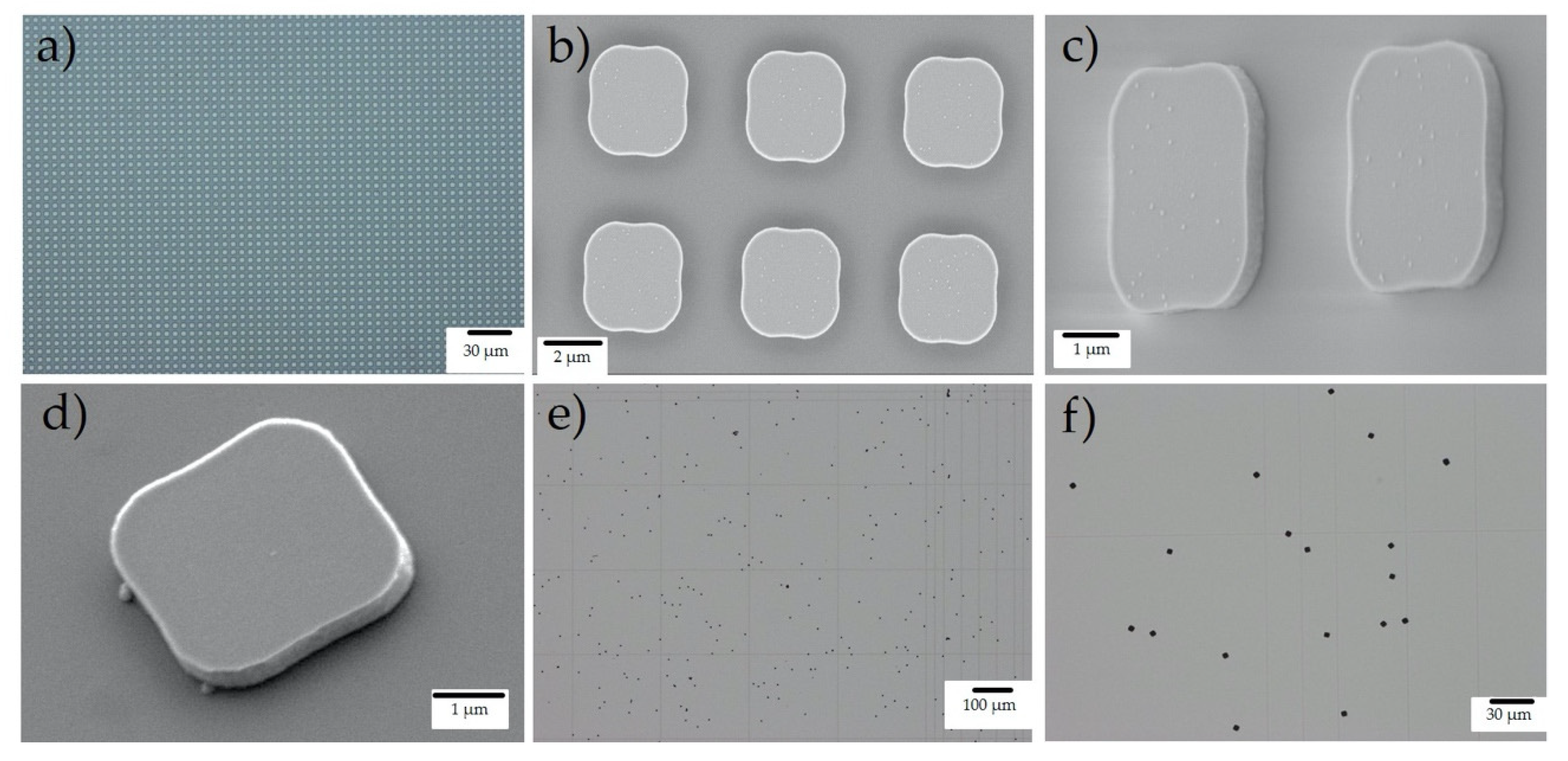 Pharmaceutics 12 00724 g004 Pharmaceutics 12 00724 g004