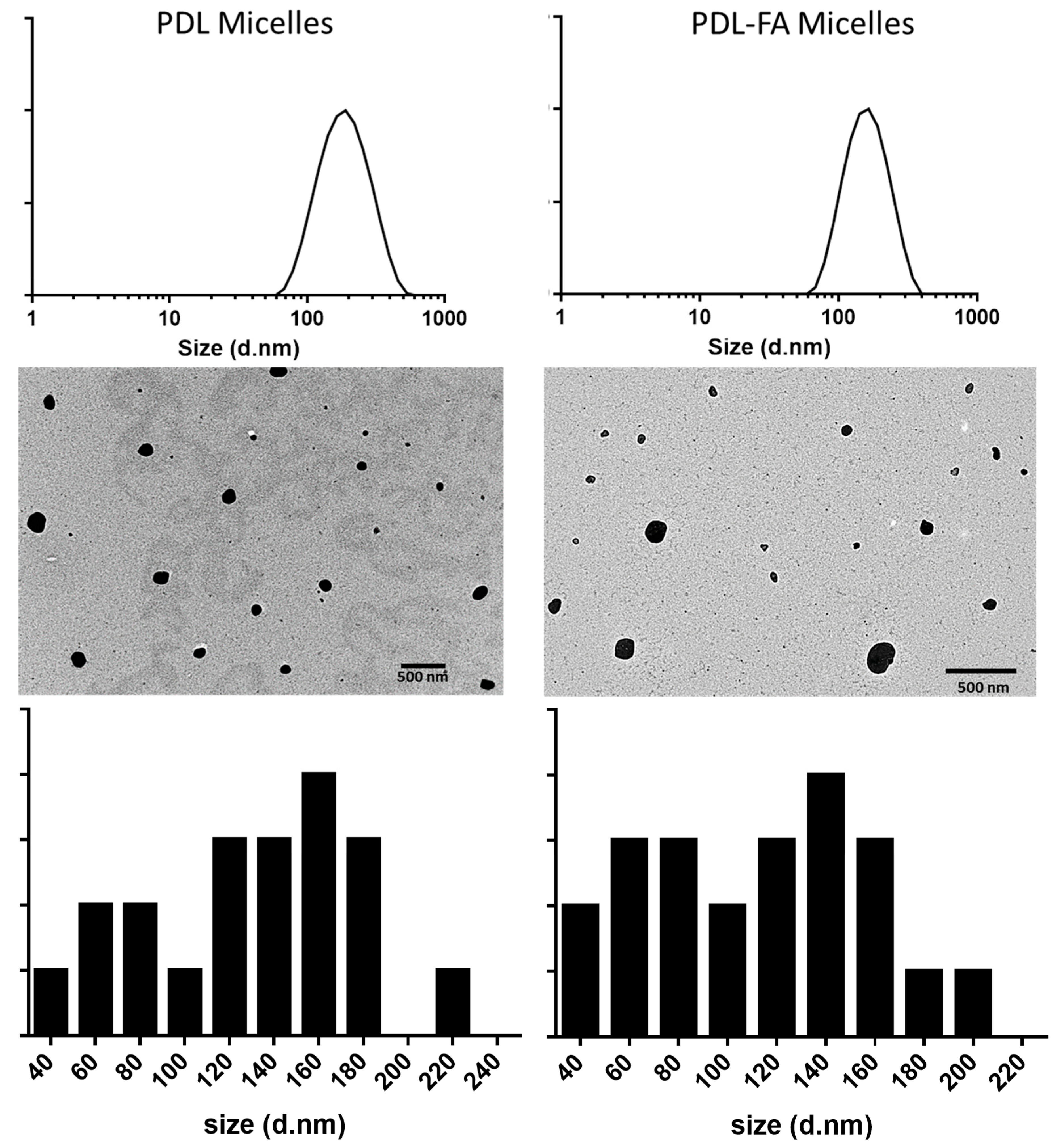 Pharmaceutics 12 00726 g002 Pharmaceutics 12 00726 g002