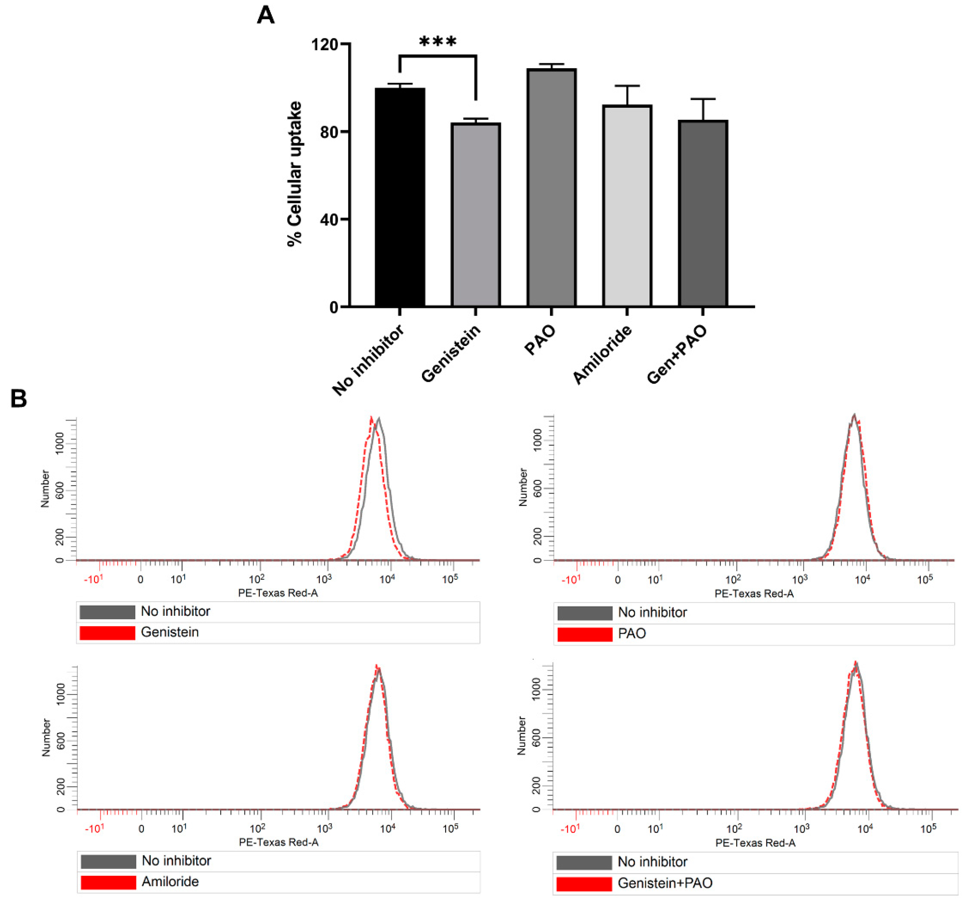 Pharmaceutics 12 00726 g006 Pharmaceutics 12 00726 g006