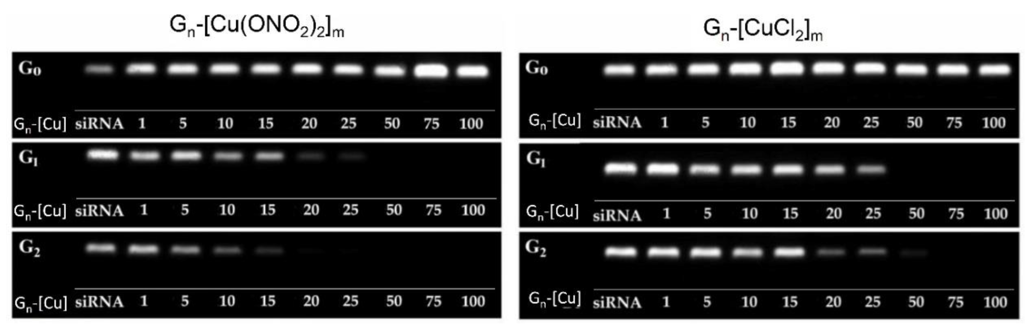 Pharmaceutics 12 00727 g002