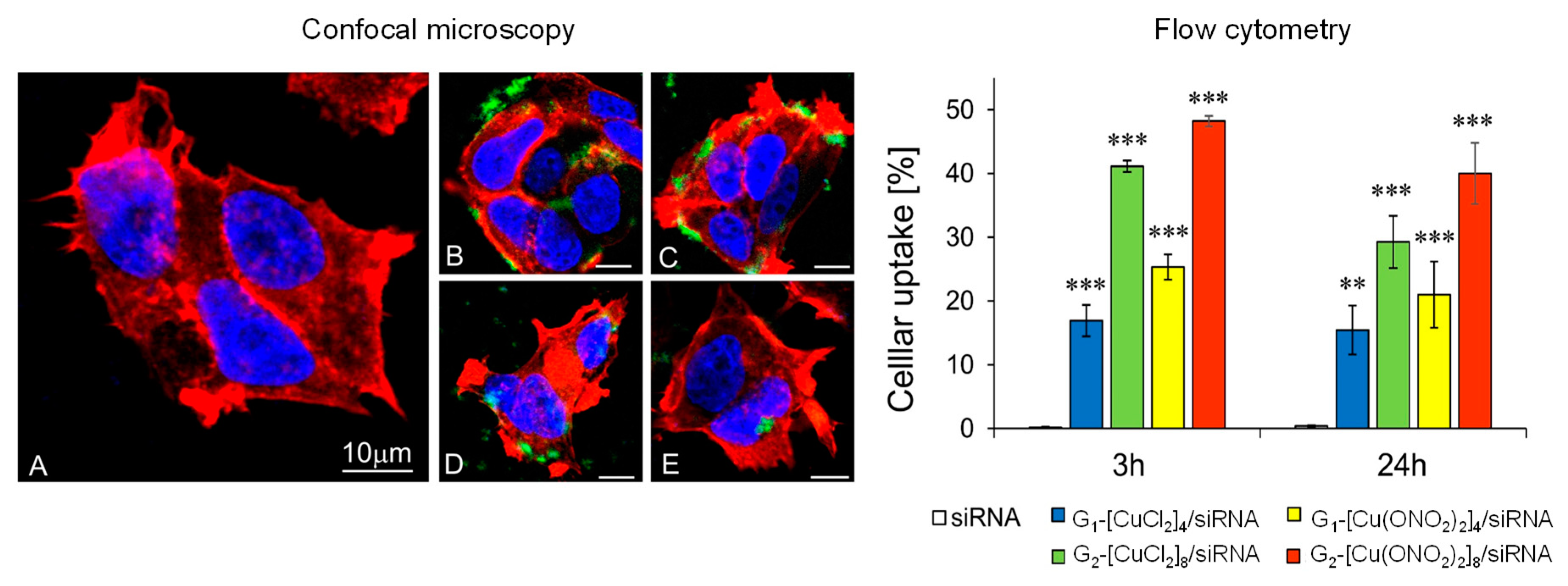 Pharmaceutics 12 00727 g008