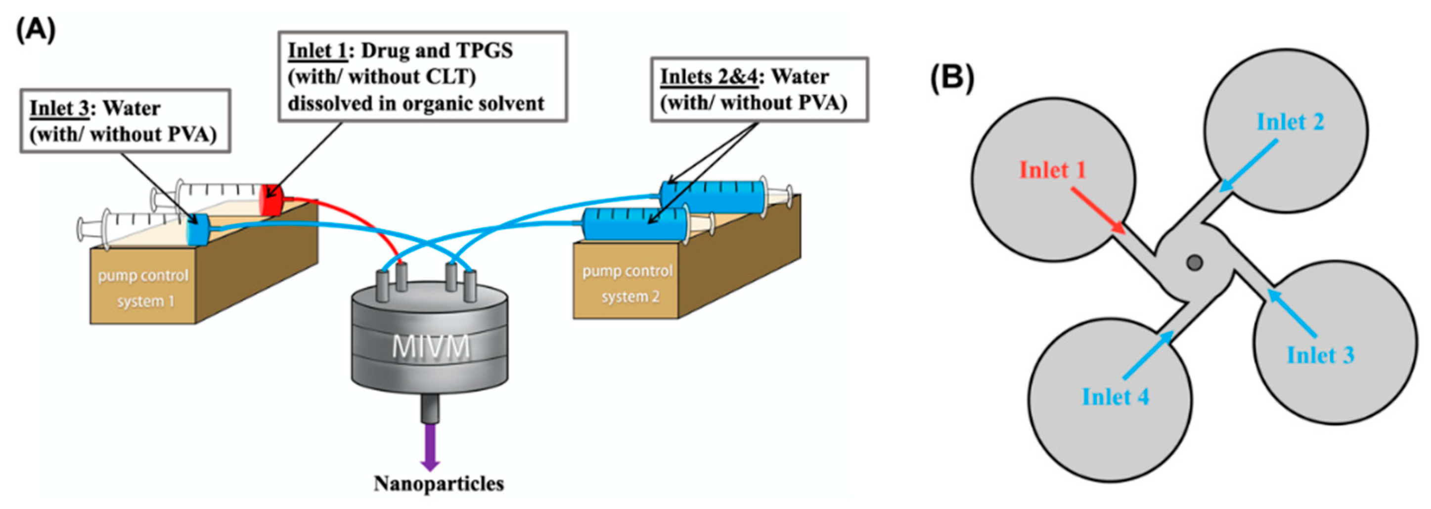 Pharmaceutics 12 00732 g002 Pharmaceutics 12 00732 g002