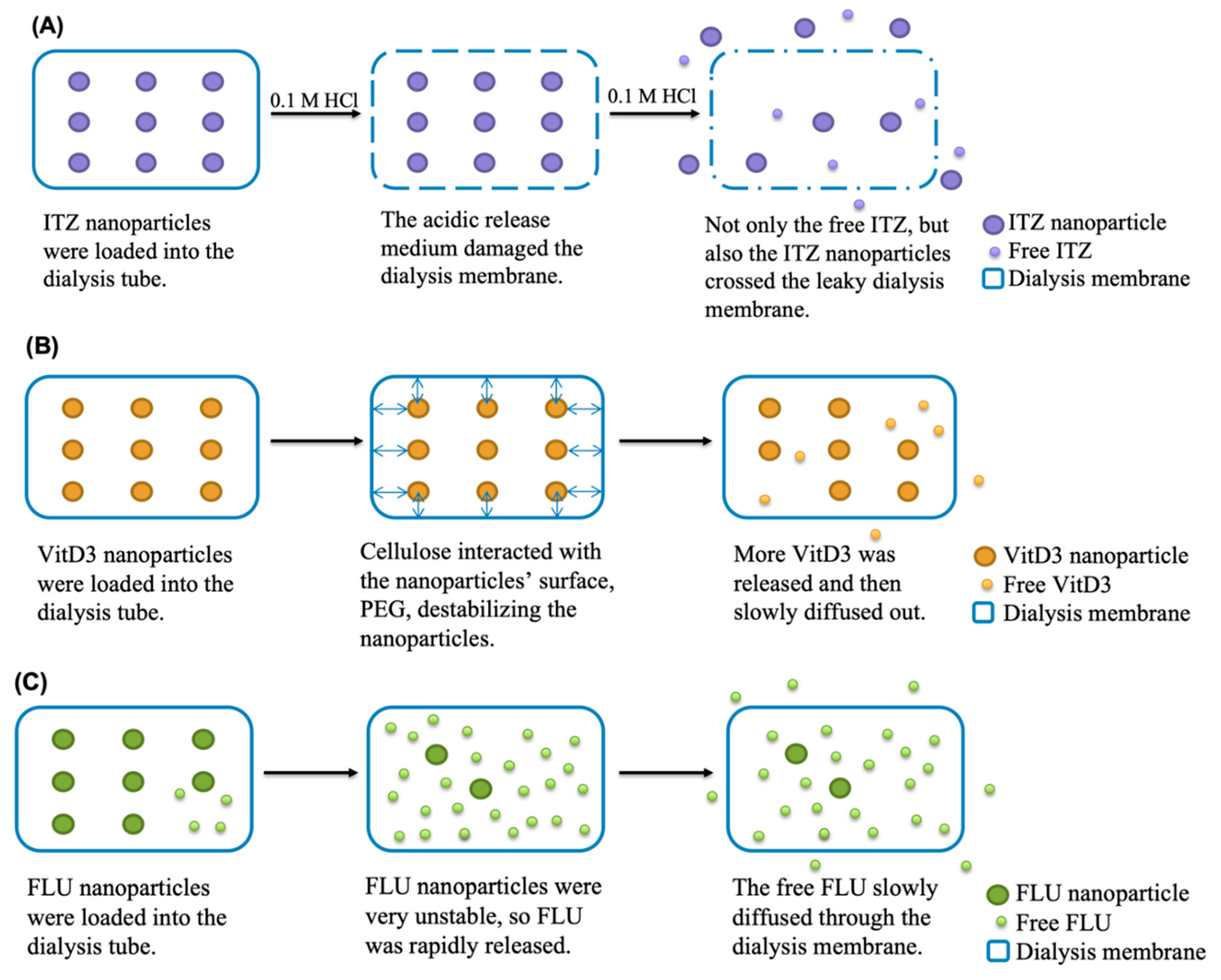 Pharmaceutics 12 00732 g008 Pharmaceutics 12 00732 g008