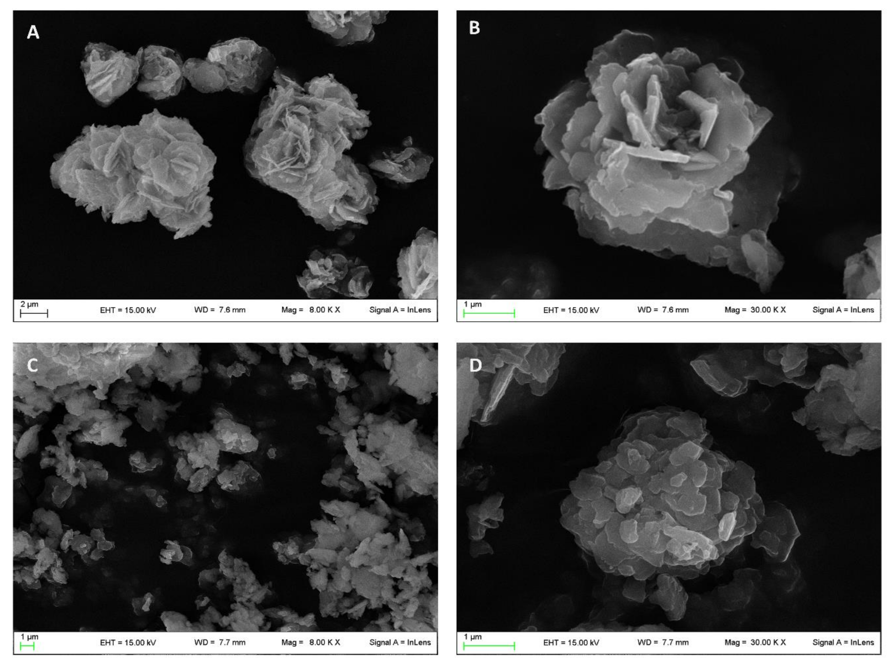 Pharmaceutics 12 00733 g002