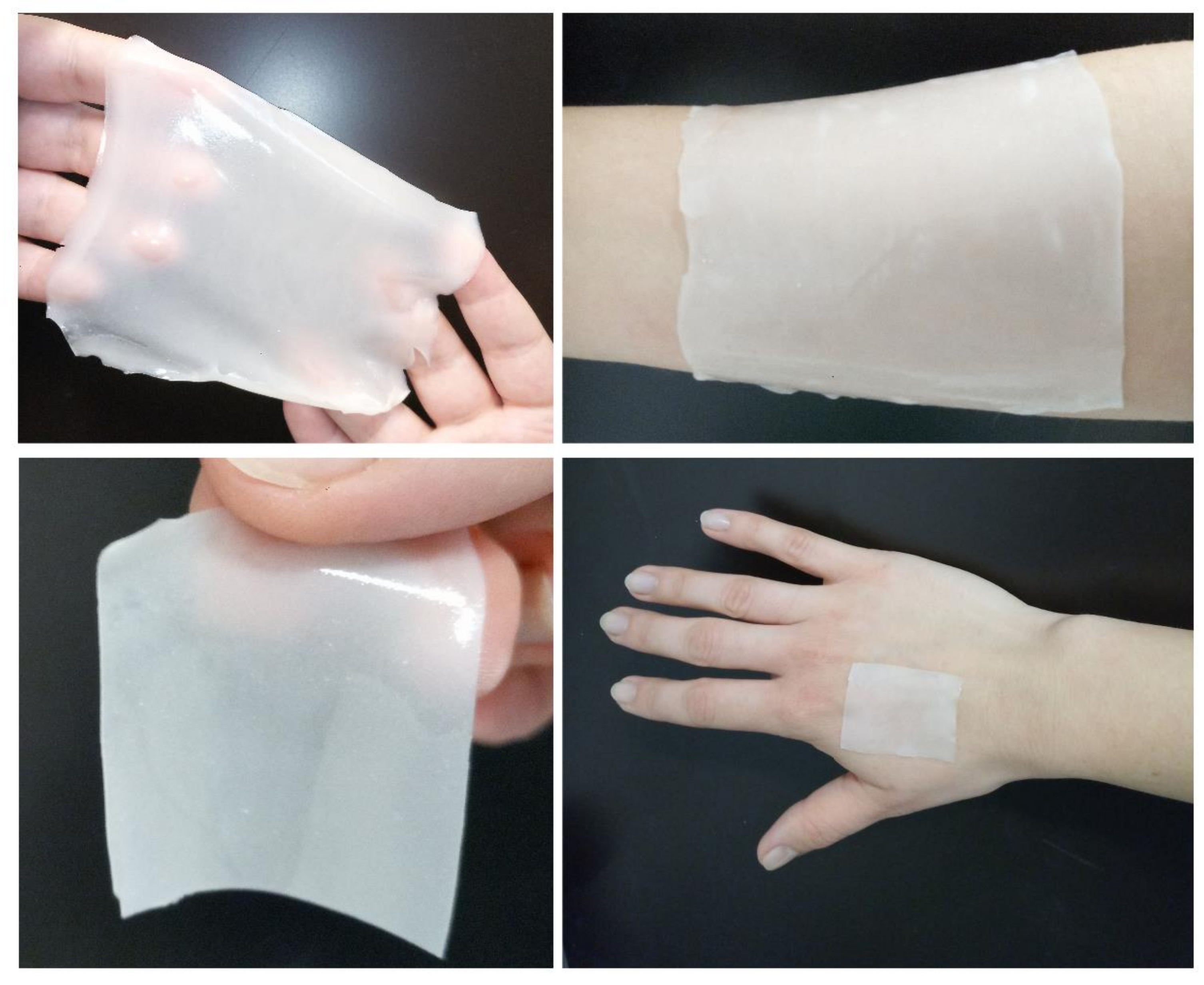 Pharmaceutics 12 00733 g005