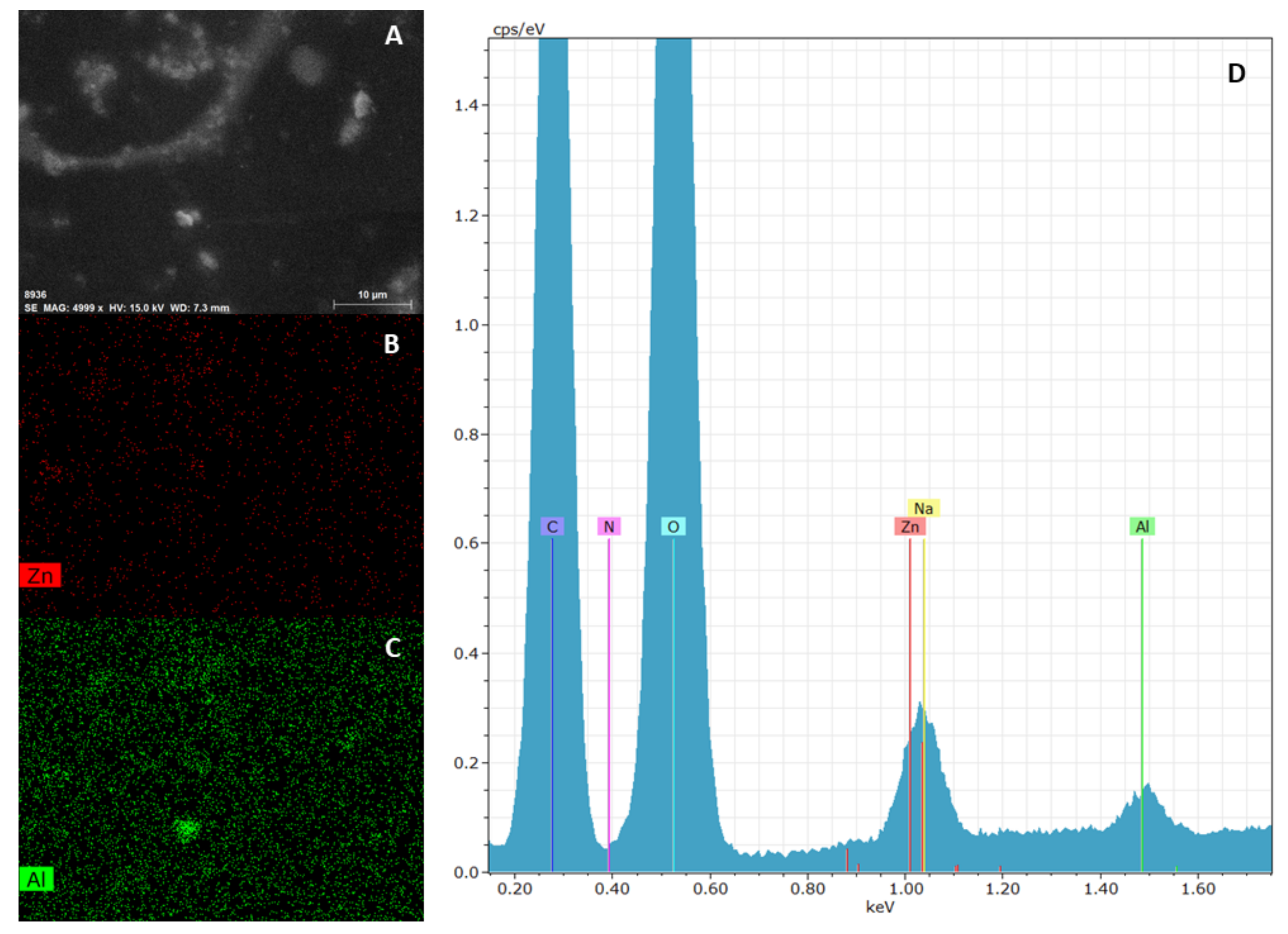 Pharmaceutics 12 00733 g006