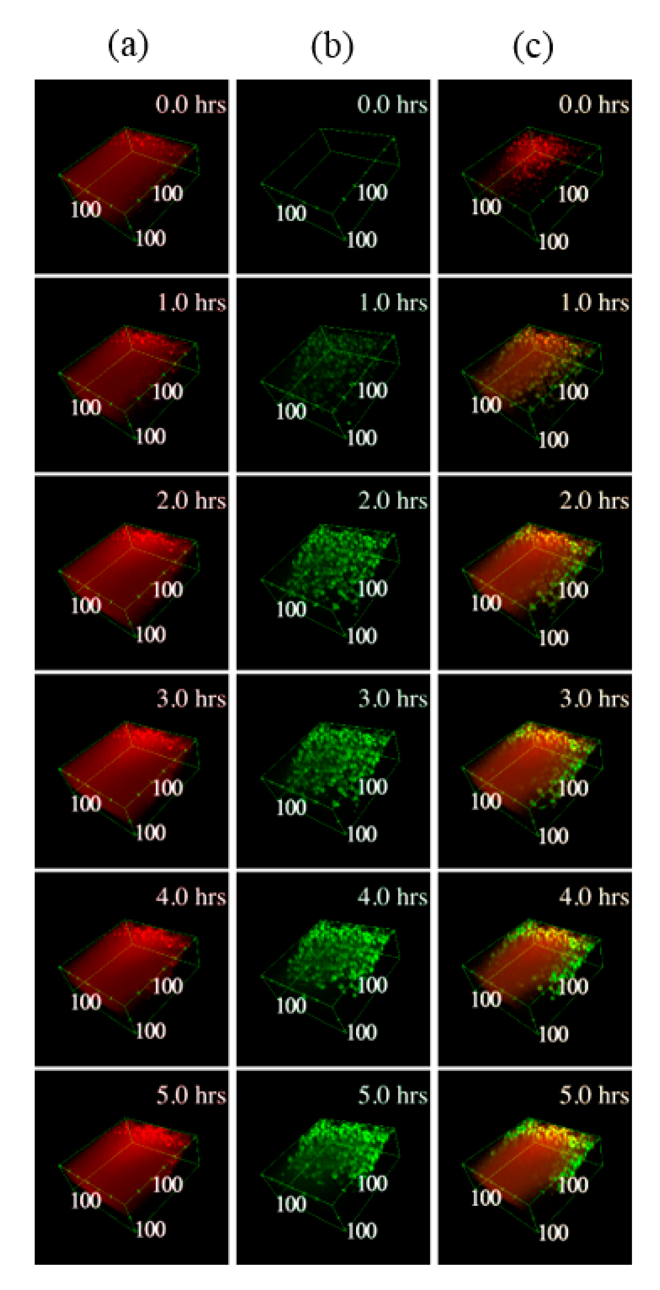 Pharmaceutics 12 00734 g003 Pharmaceutics 12 00734 g003