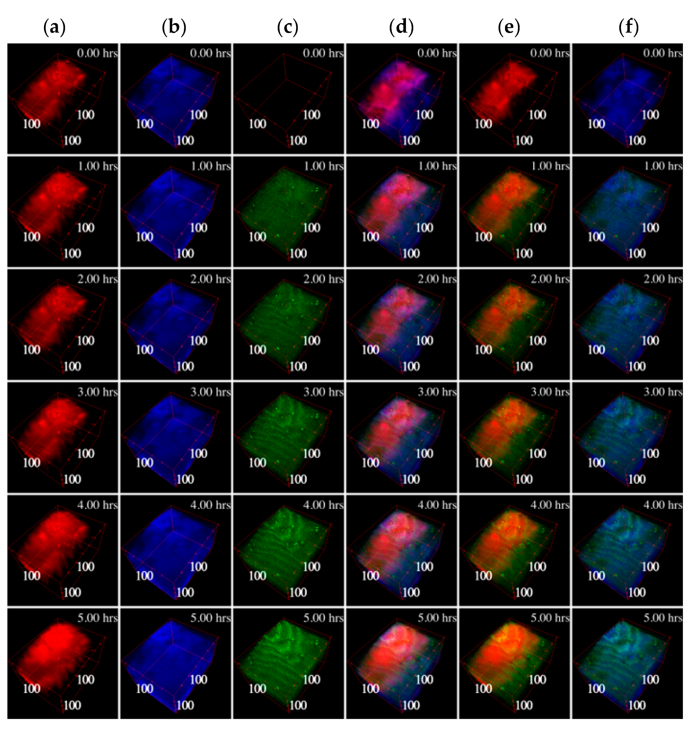 Pharmaceutics 12 00734 g004 Pharmaceutics 12 00734 g004
